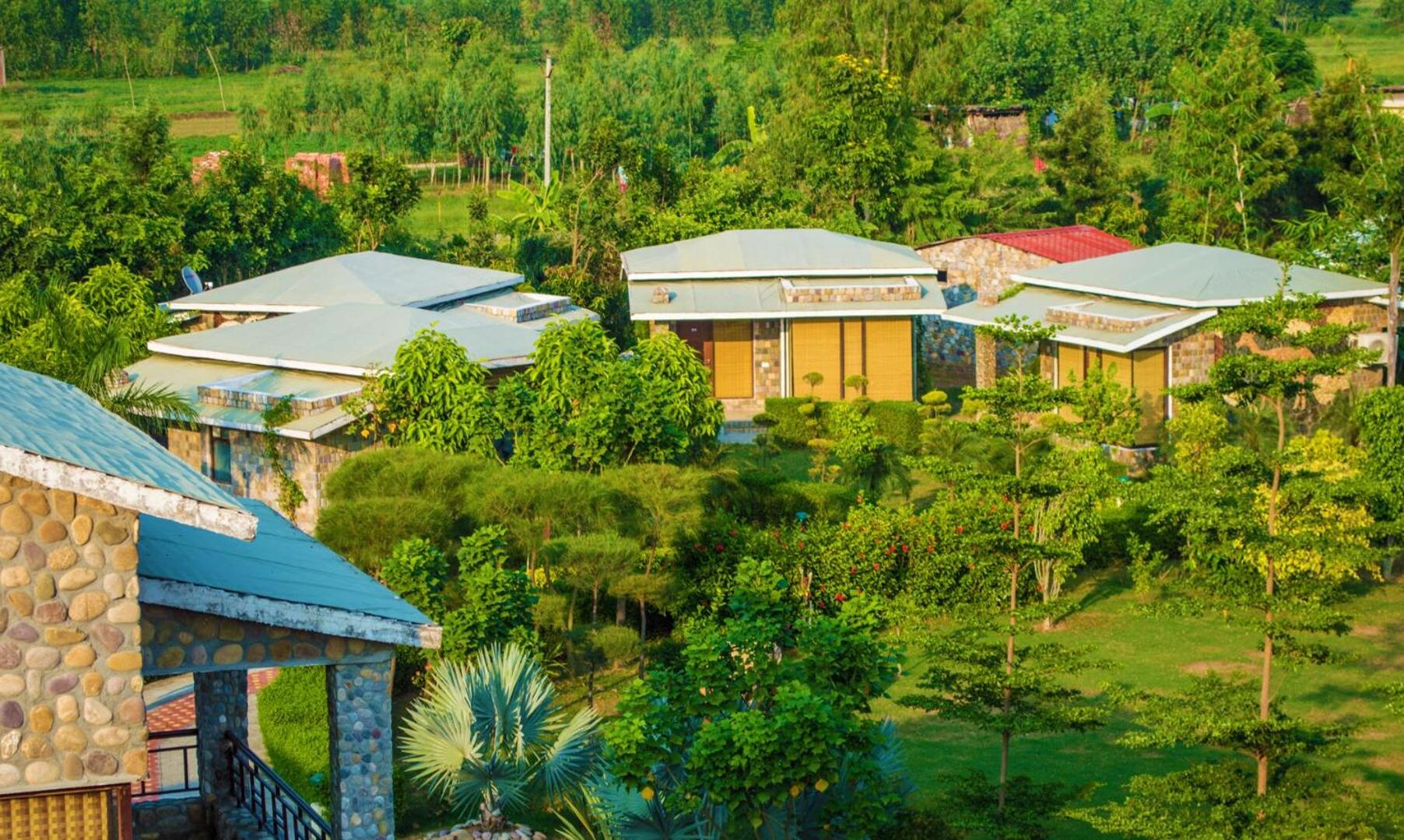 Bento The Roar Resort view 3