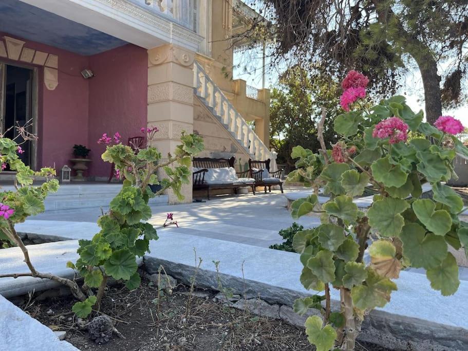 Villa Iren