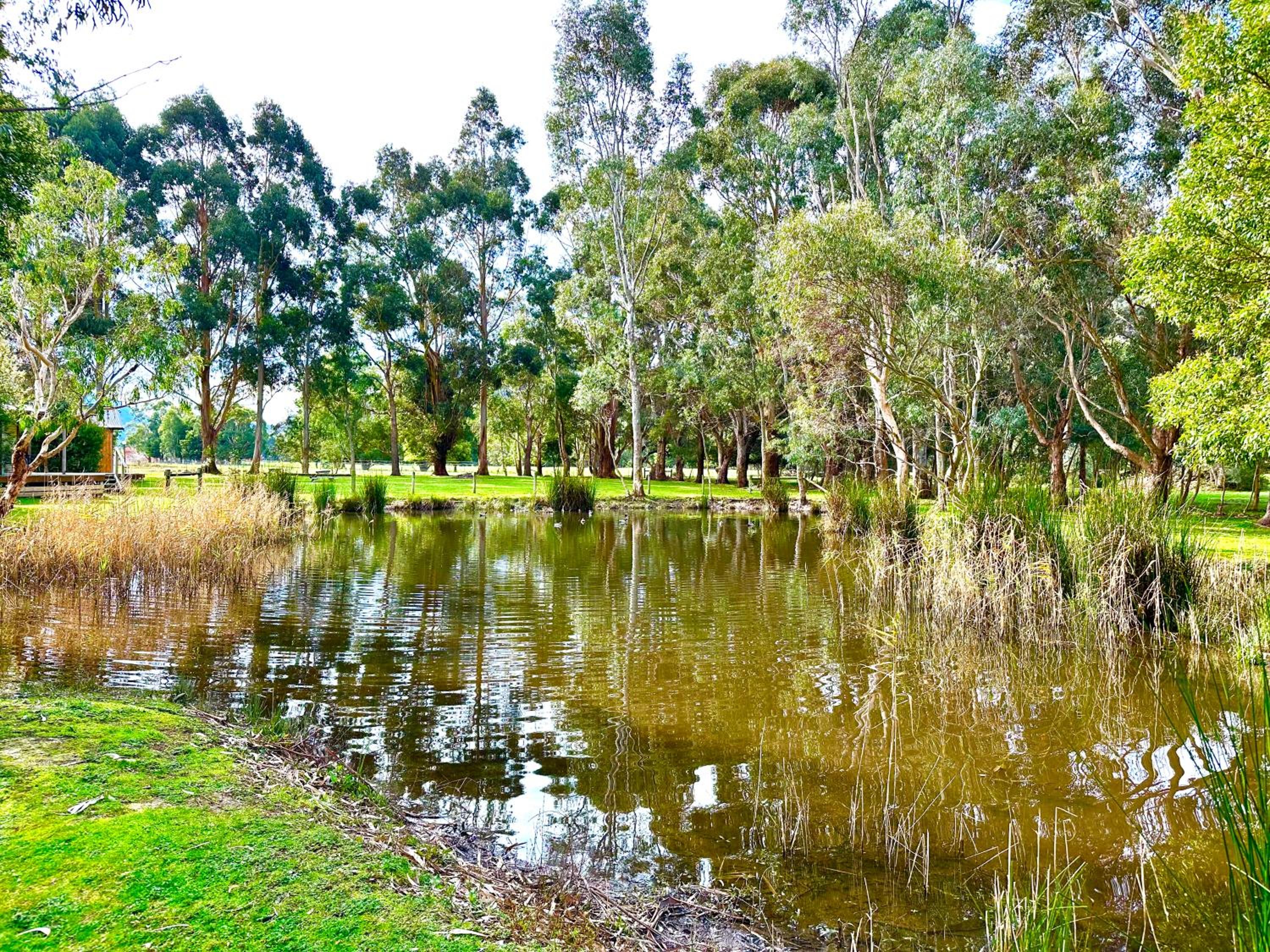 Grampians Chalets
