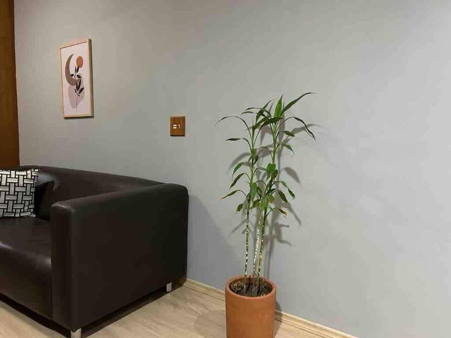 DF123 Perto Hosp SP Unifesp Congonhas Ibirapuera