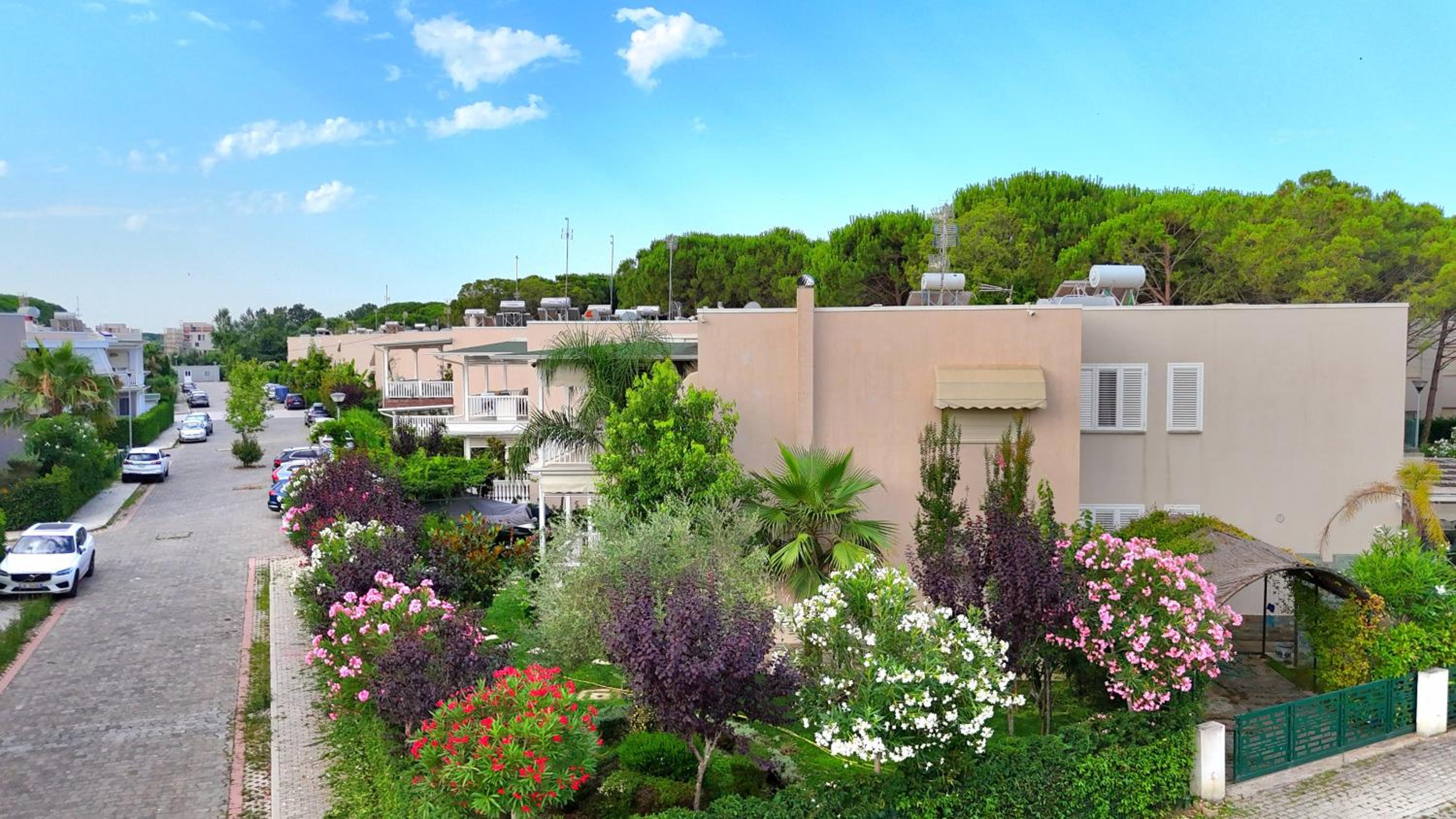 Sunny Beach Apartments - 162