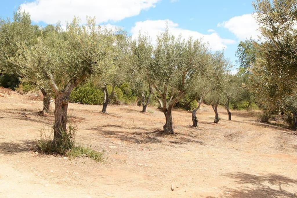 Quinta do Coelhoazul