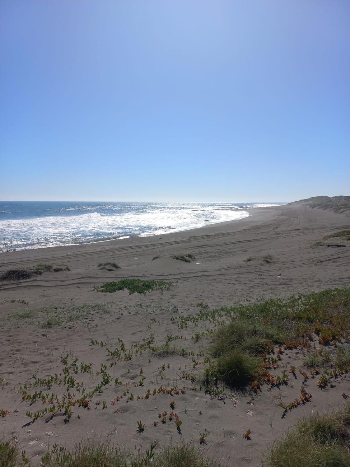 EKILIBRE Surf Eco Hostal