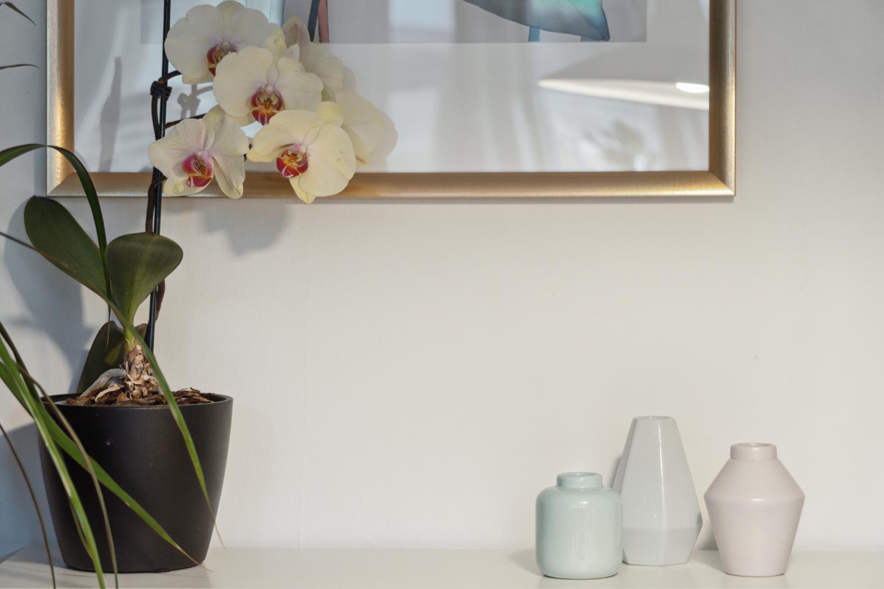 Minimalistisk Studiolejlighed i Centrum af Aarhus