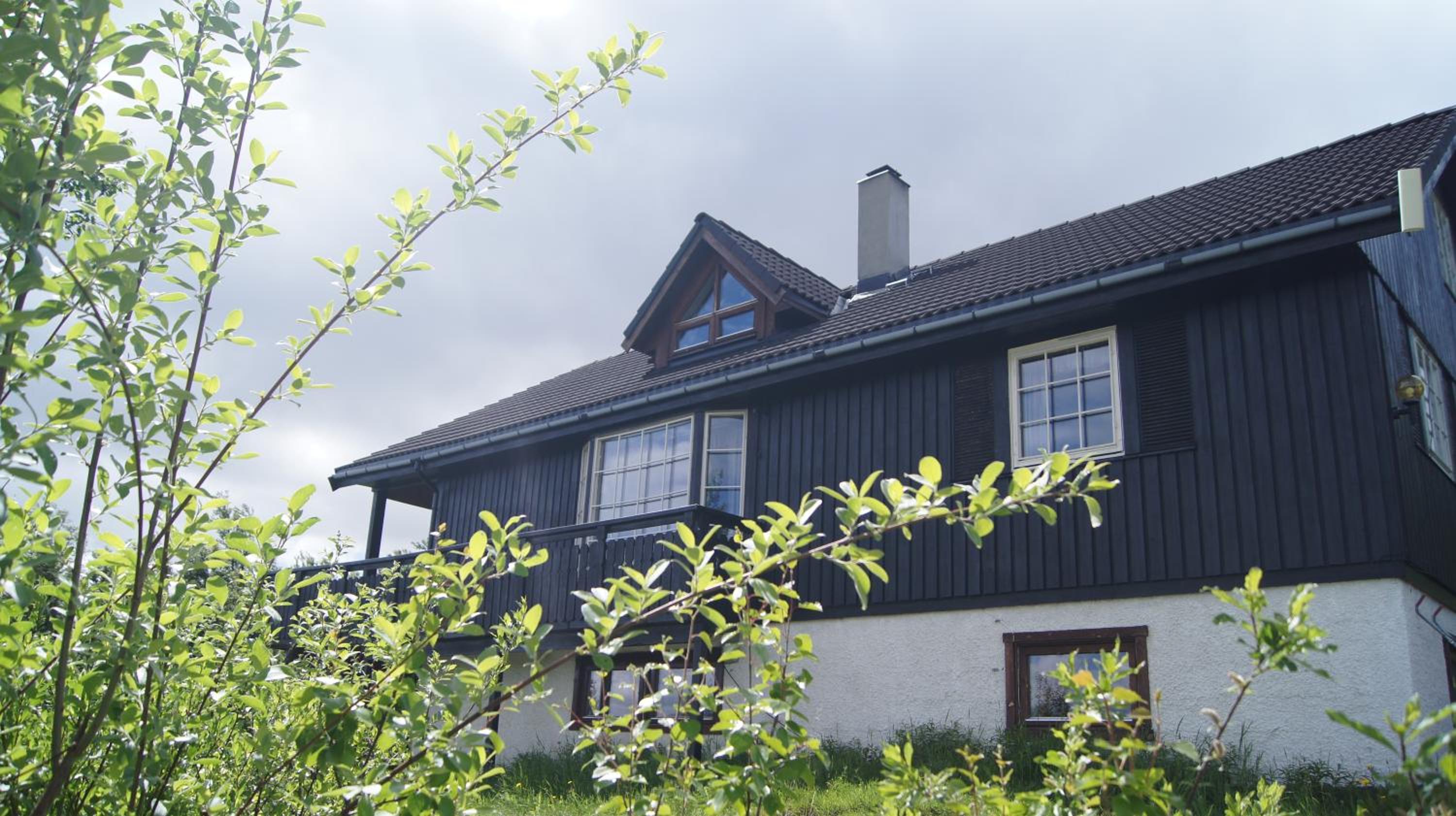 Photo 19