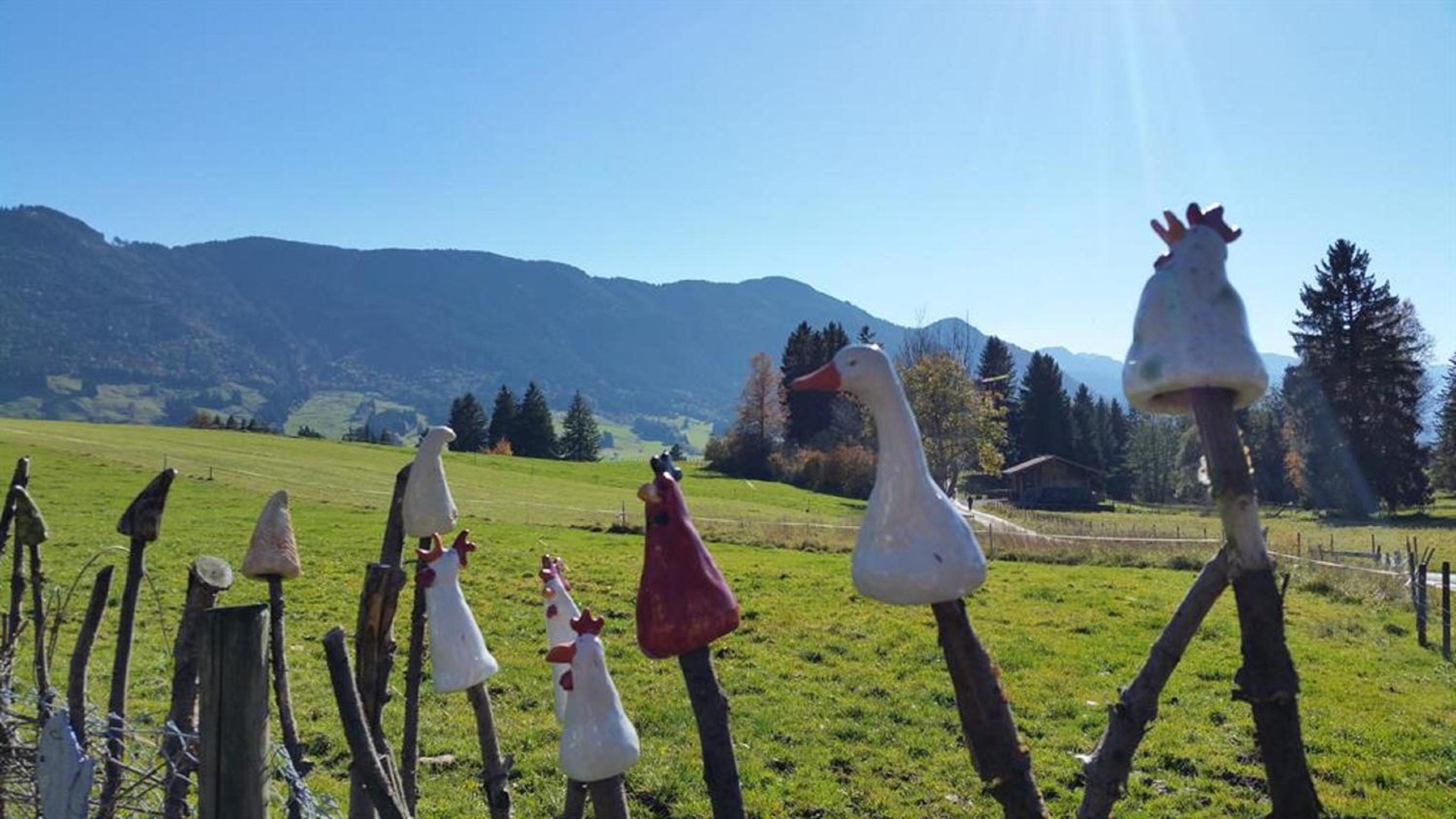 Ferienwohnung Sonnenblume