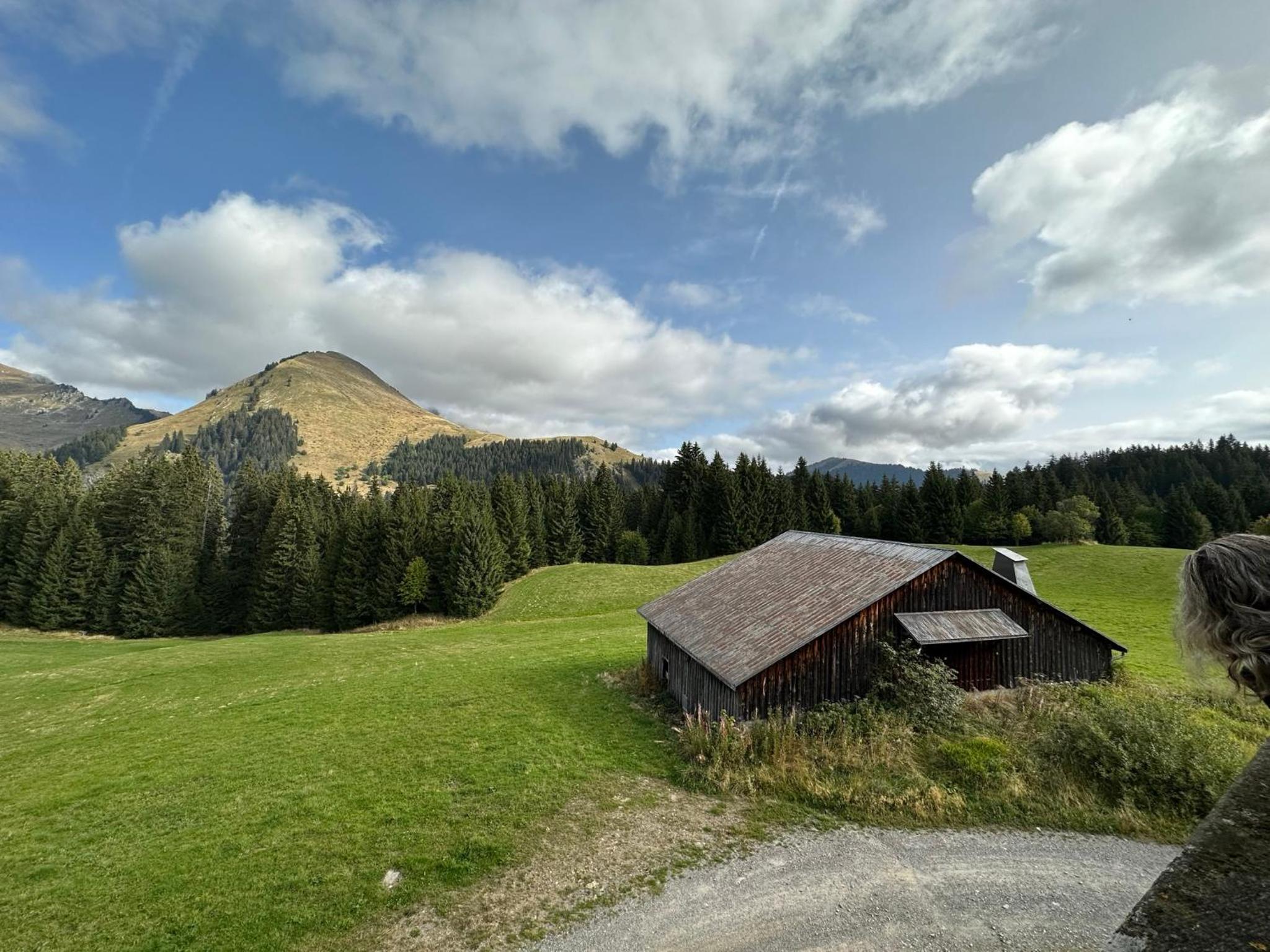 Studio au cœur du Praz-de-Lys - Les Pralyssimes