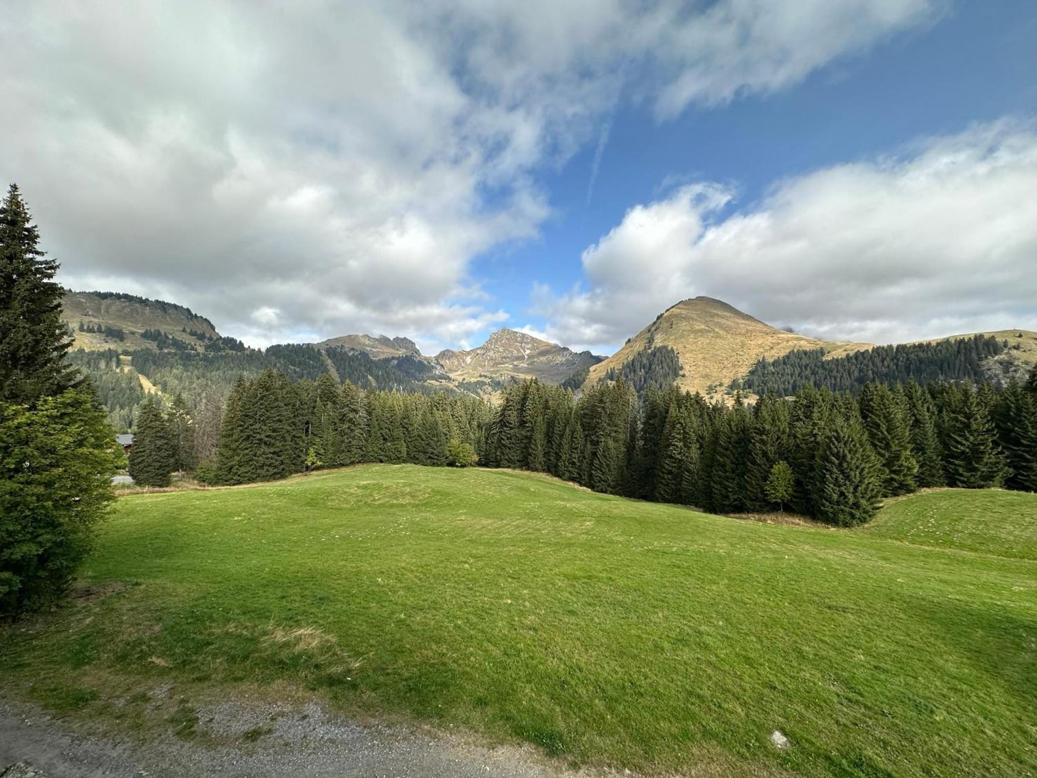 Studio au cœur du Praz-de-Lys - Les Pralyssimes