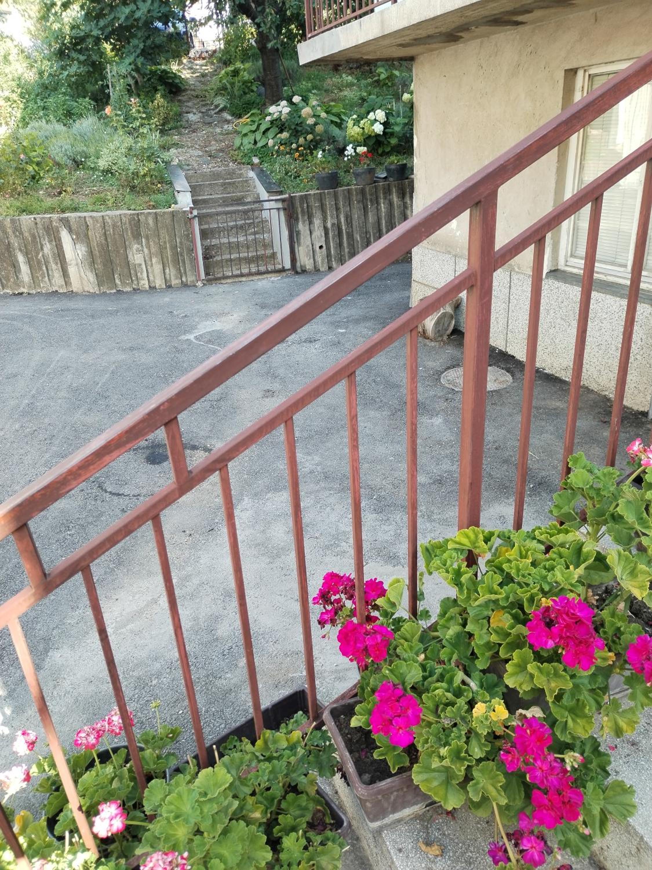 Apartman Ristić