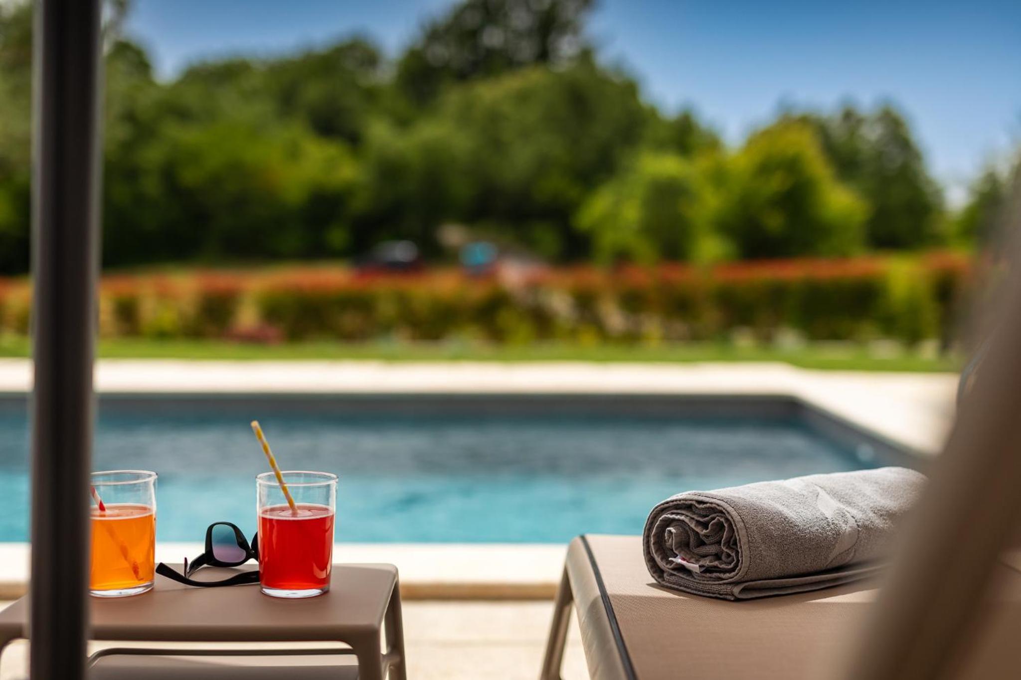 Beautiful Villa Frida with pool in Vizinada view 2