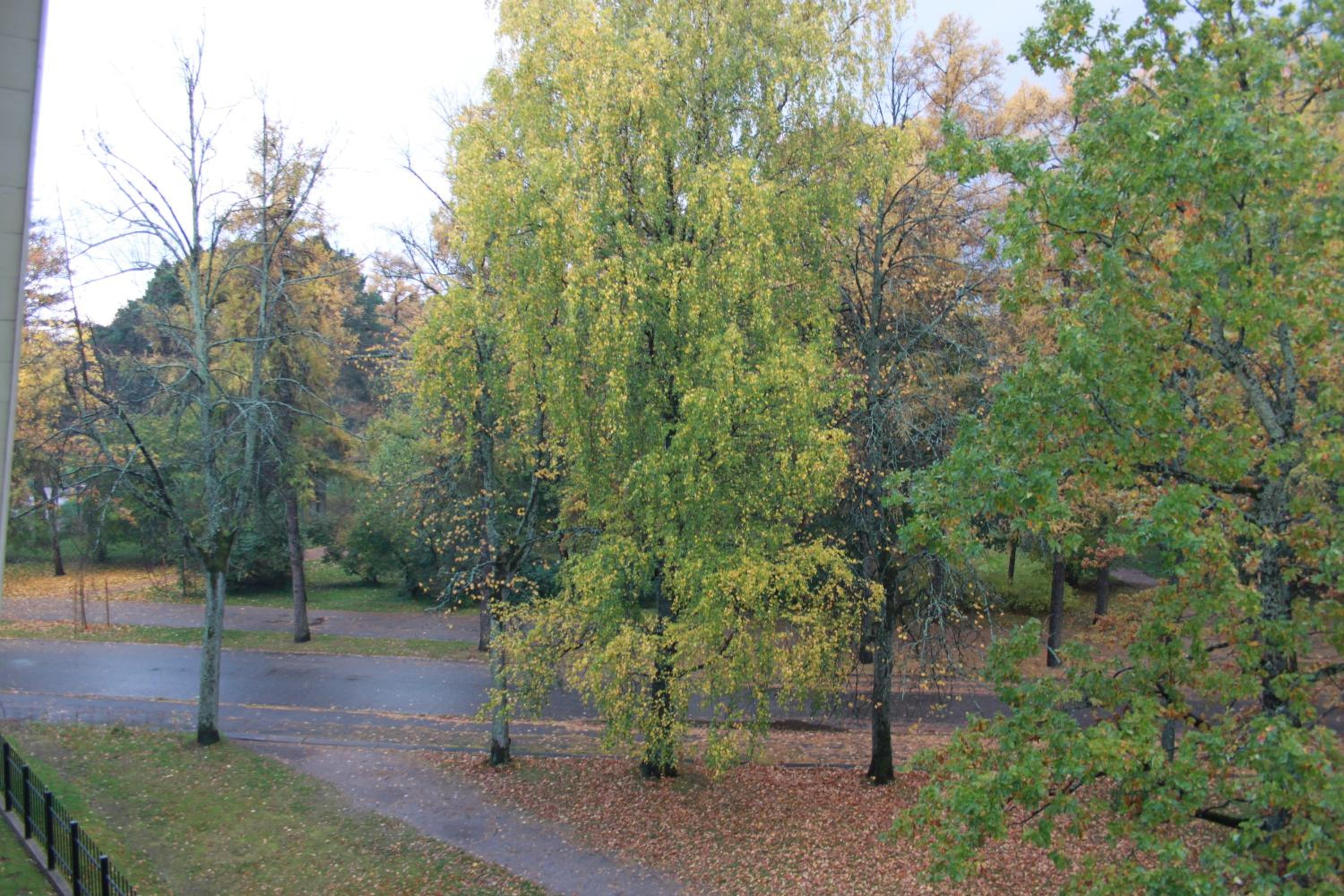Photo 66