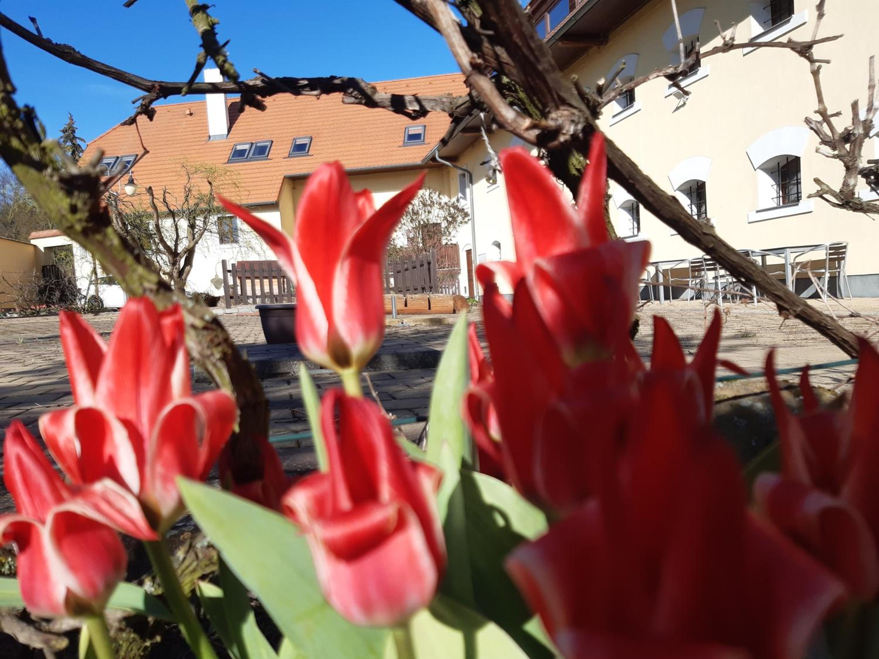 Apartmán Na návsi