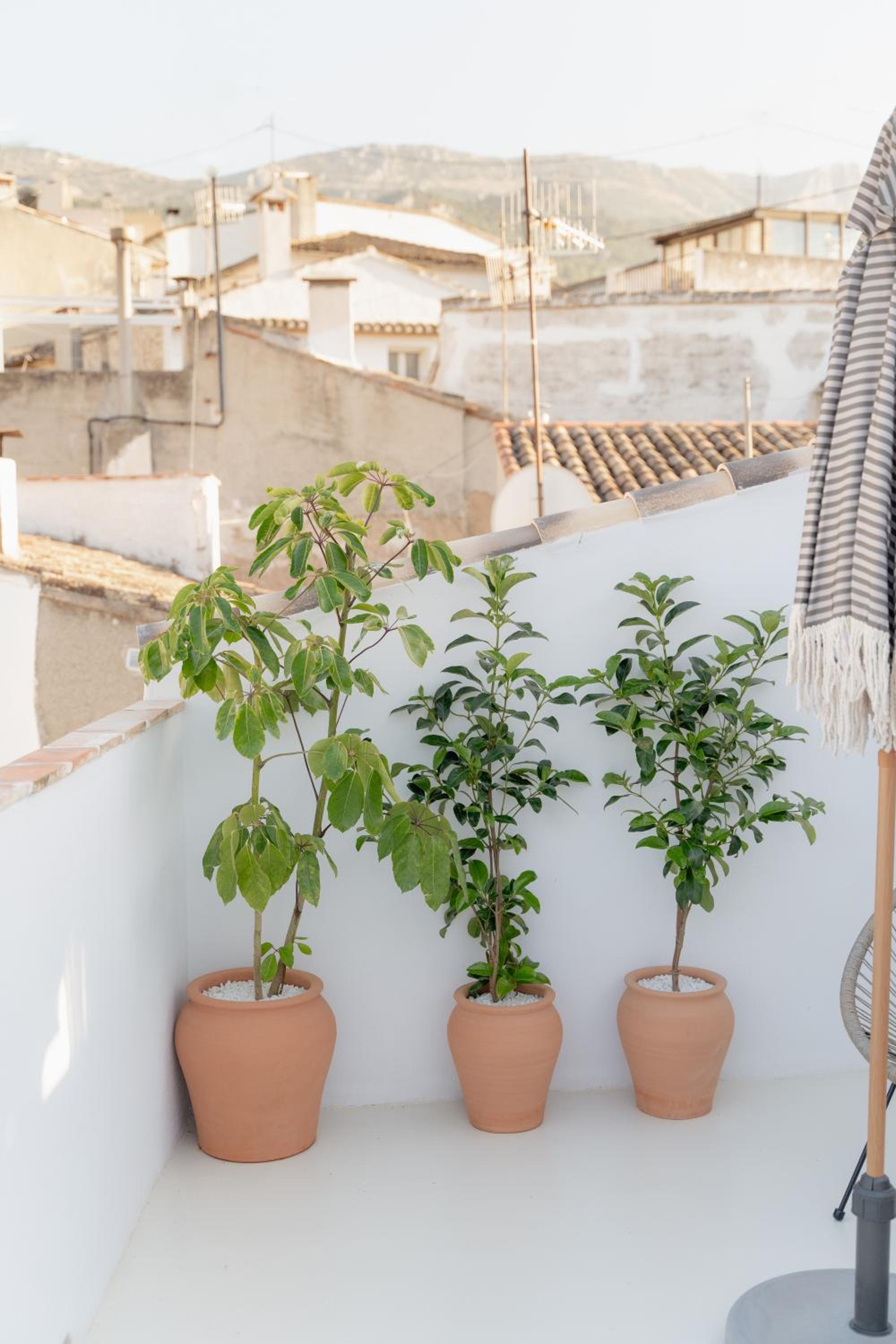 CASA OLIVETA - Estudio Blanqueta