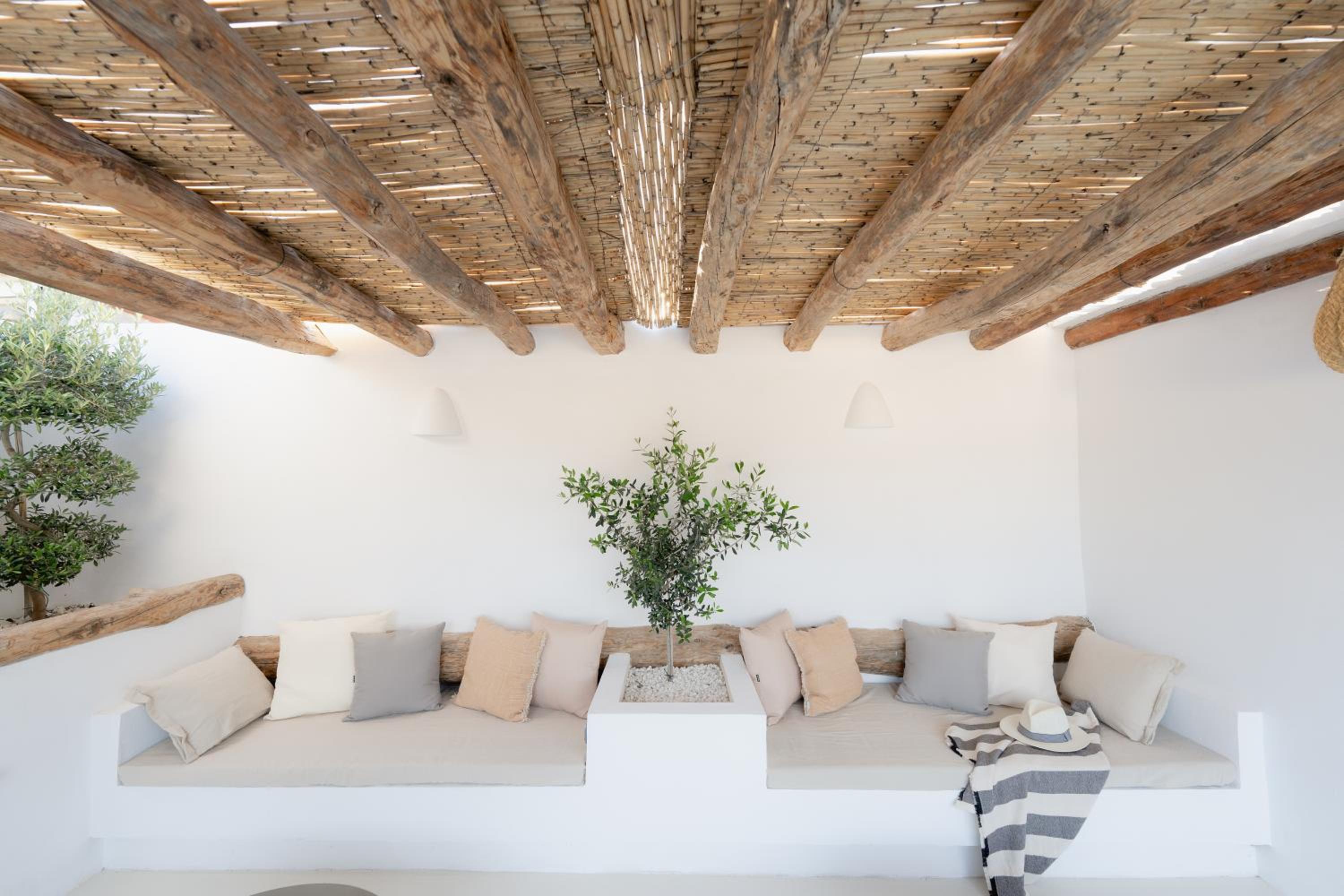 CASA OLIVETA - Estudio Blanqueta