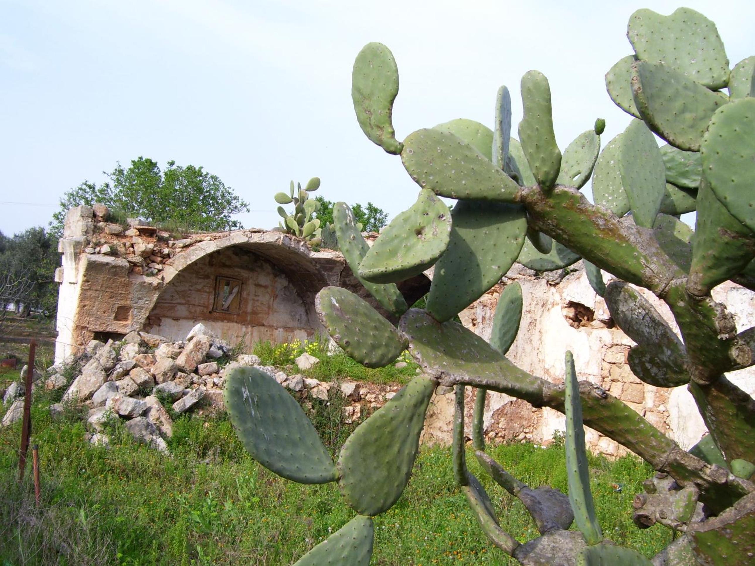 Villa Ghetta Country House