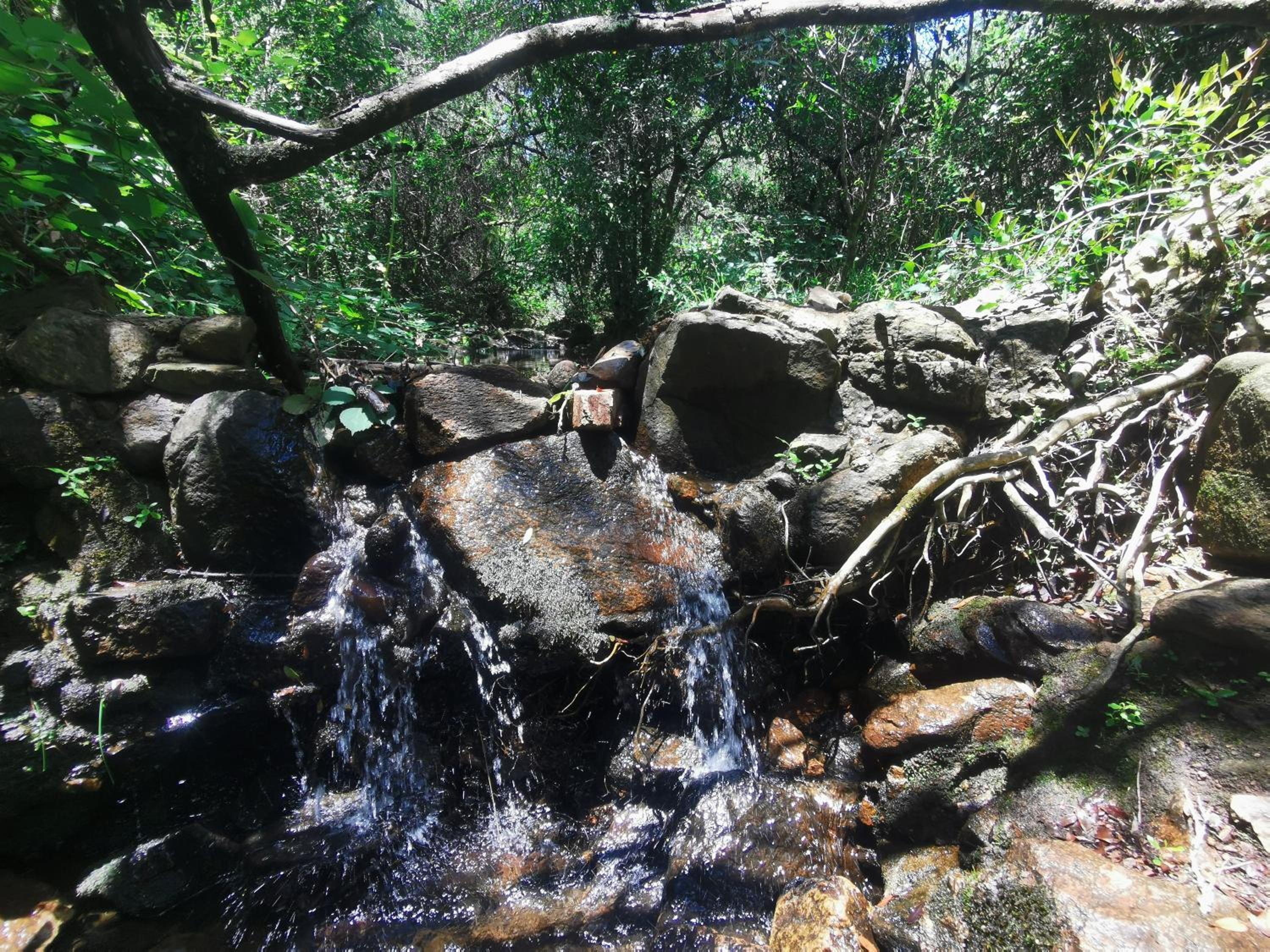 Rincón de paz