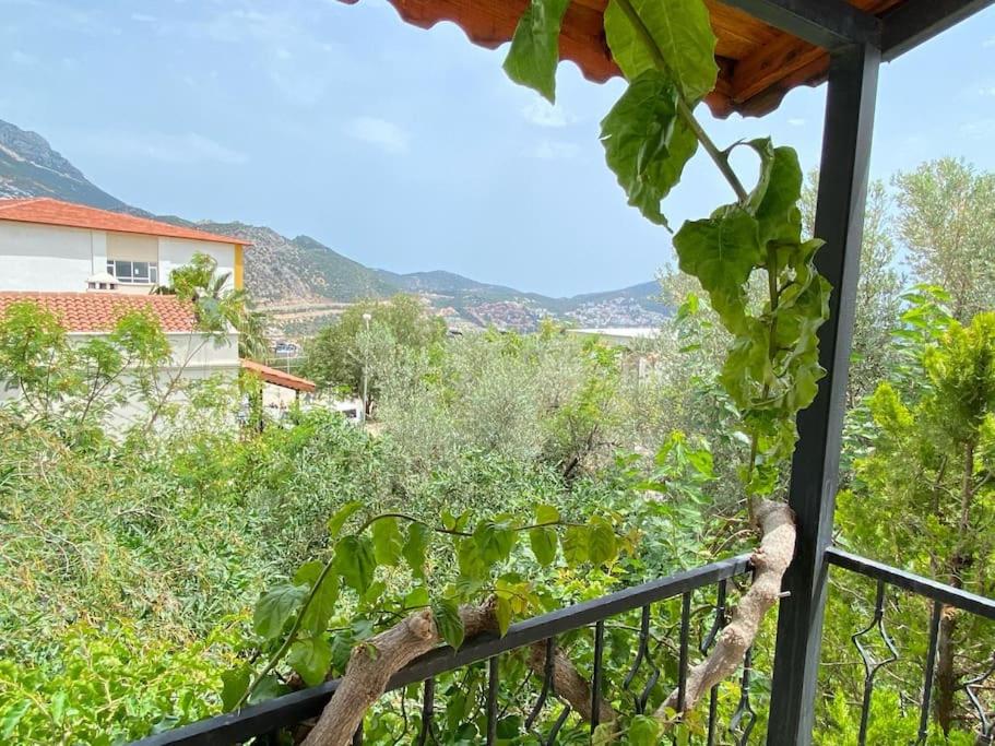 Hotel Villa Leton KLEO - Sea View Villa in KALKAN Center - Image 1