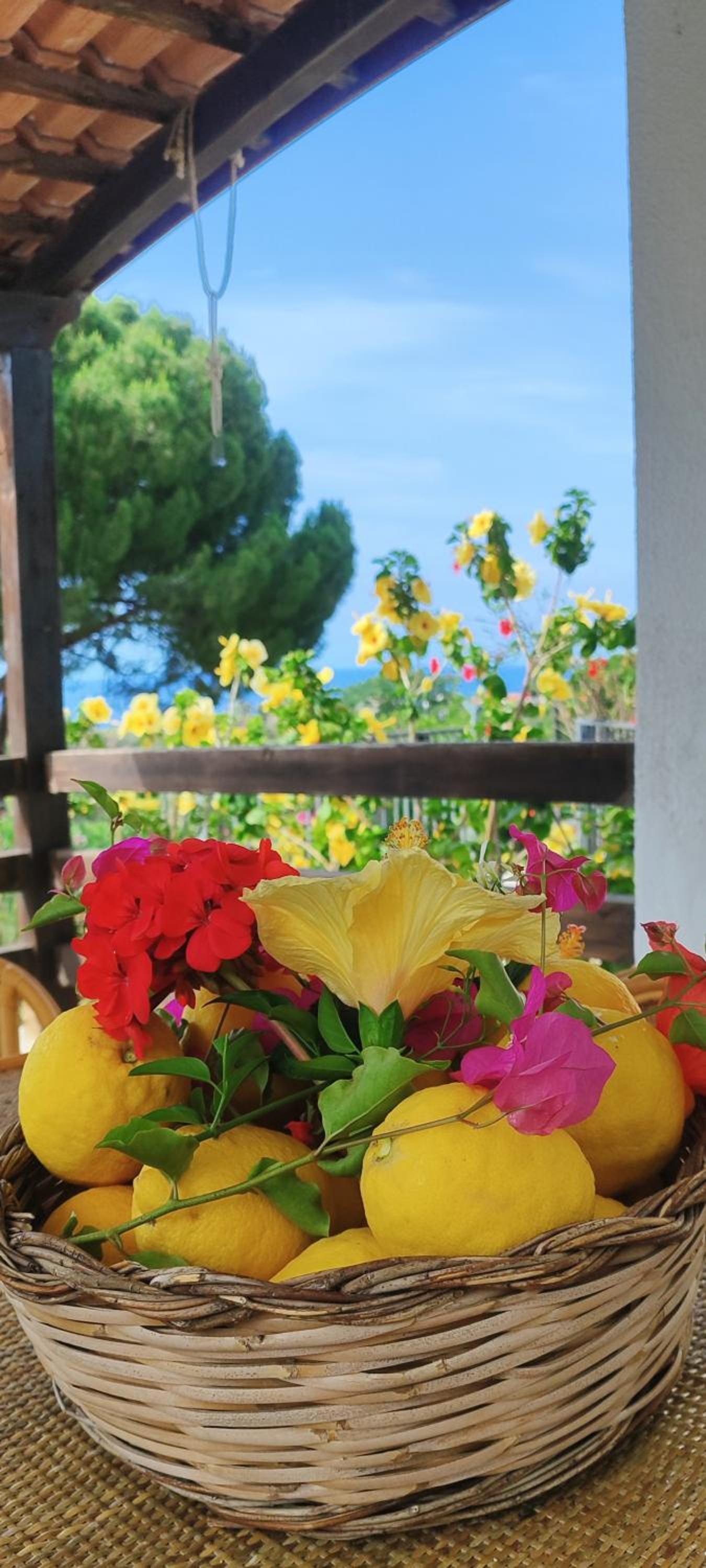 Casa Ibiscus Tropea photo 5