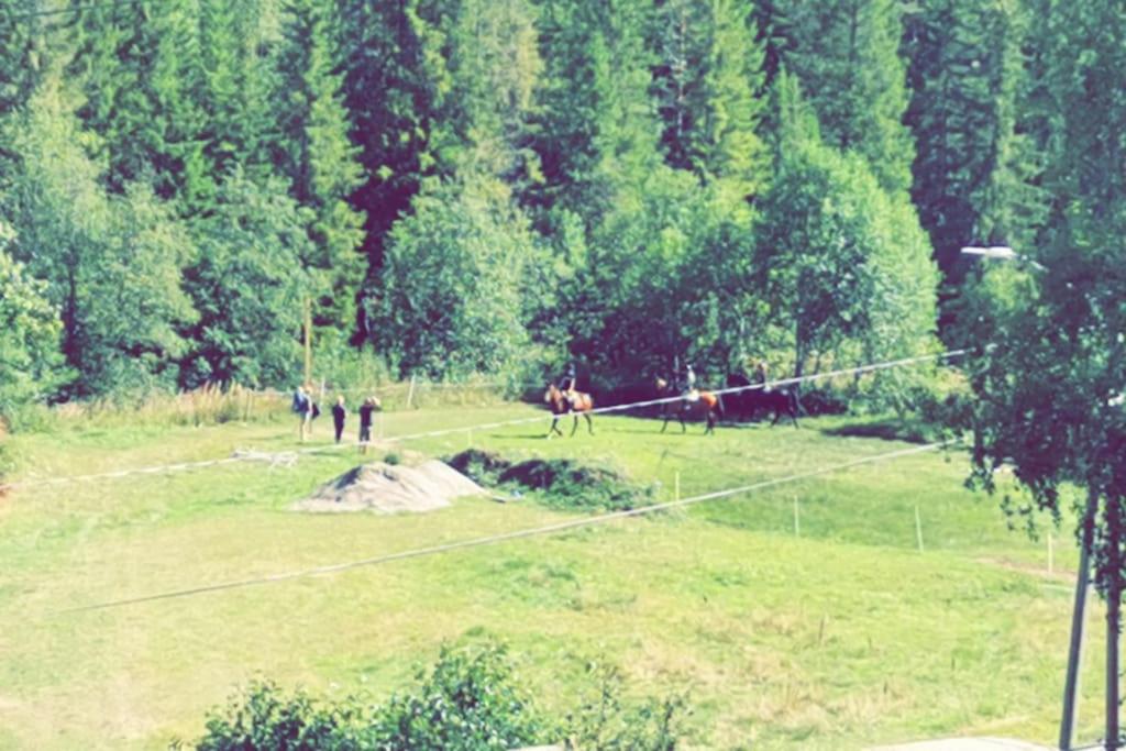 Backpack Park Telemark view 4