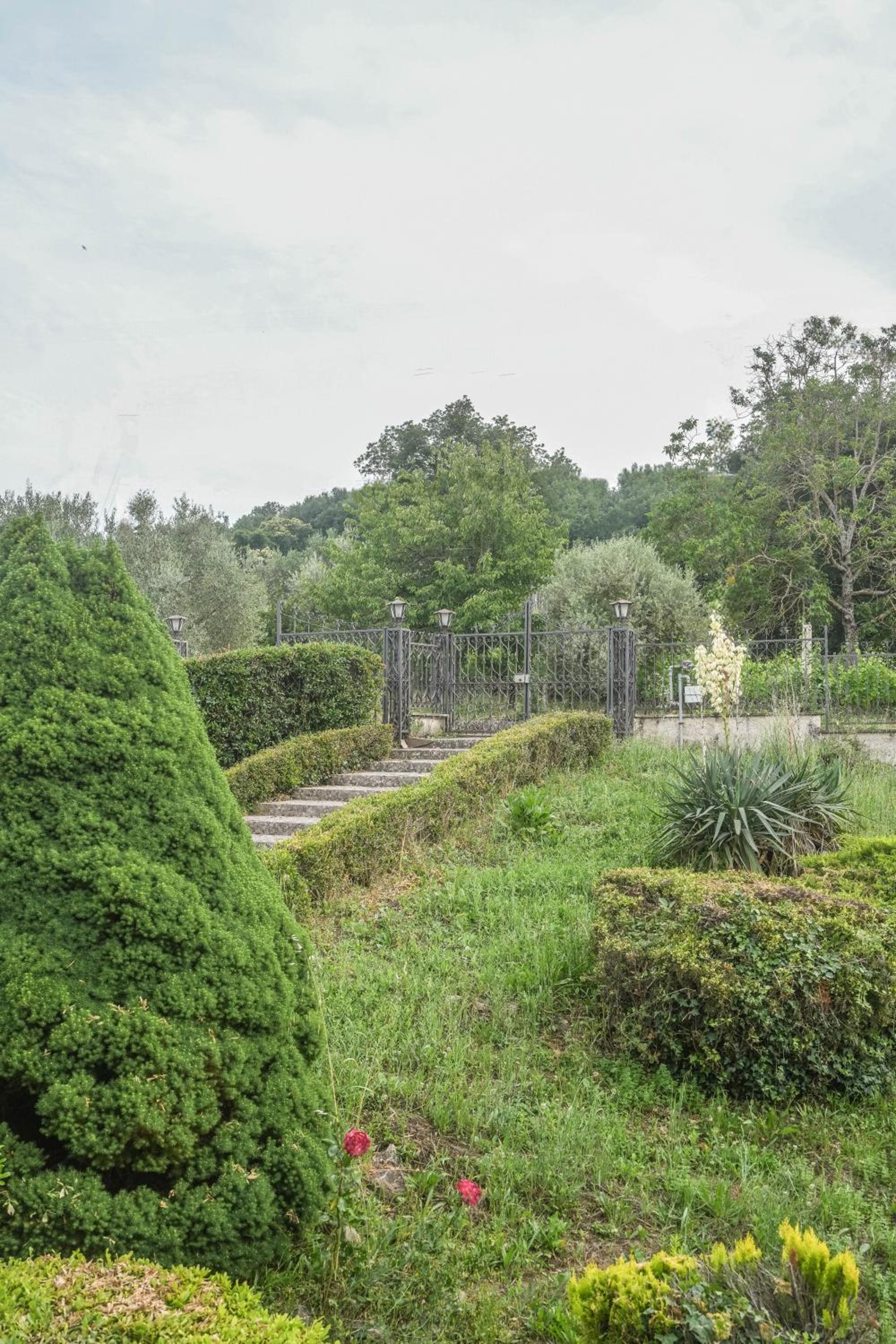 Photo 23