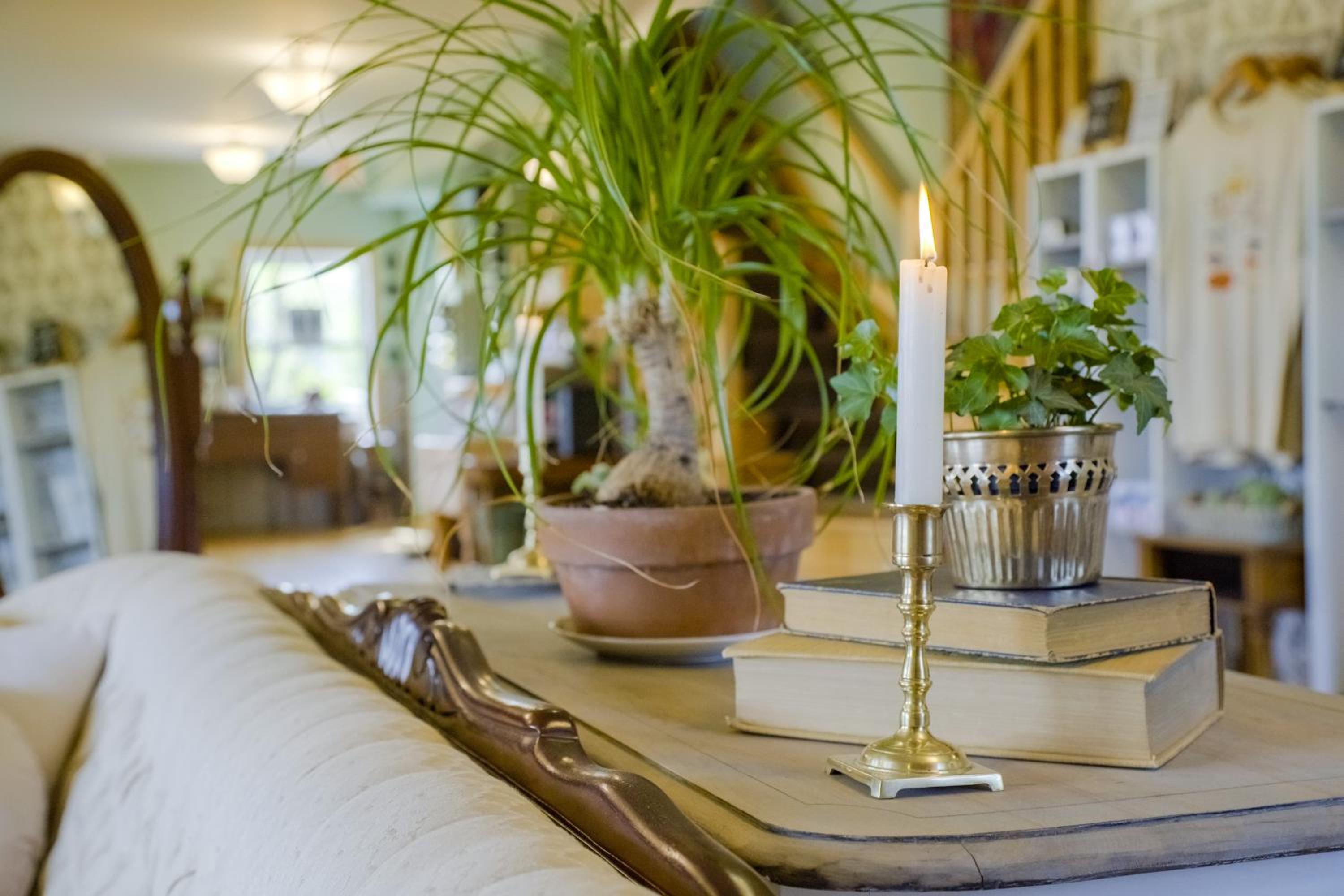 Chanterelle Inn & cottages