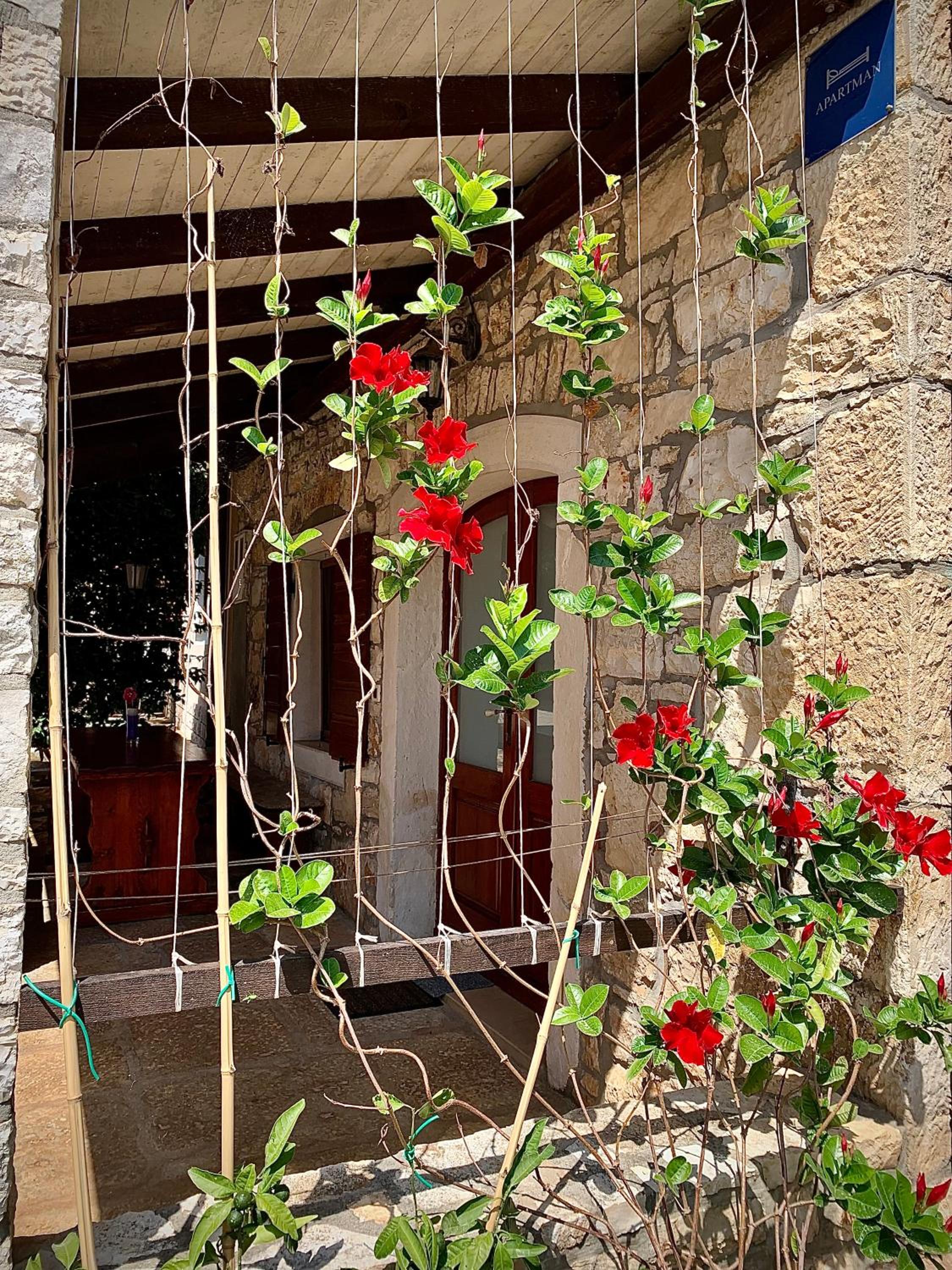 Apartmani Petar Stojnić view 3