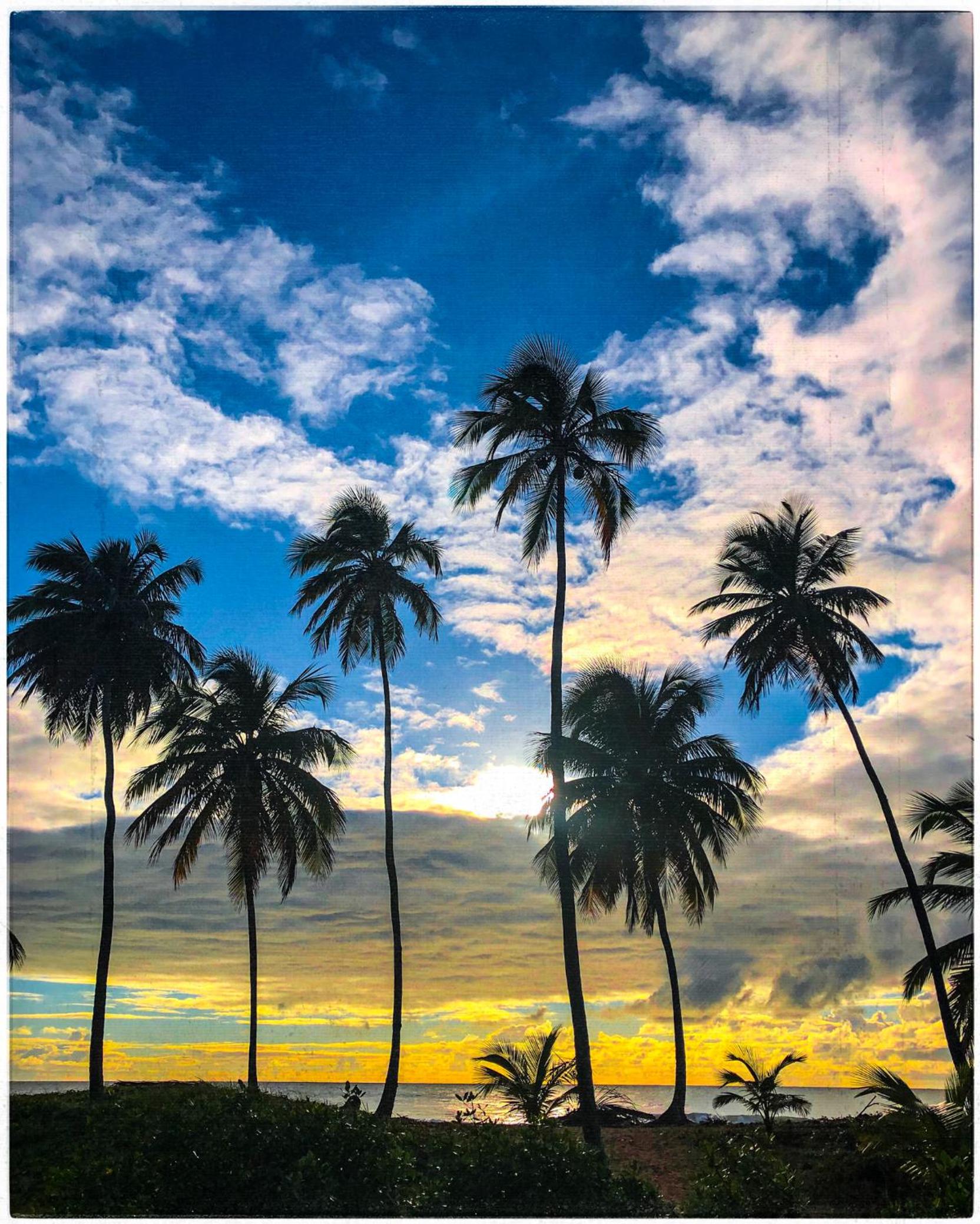 KIALOA Flats Barra Grande