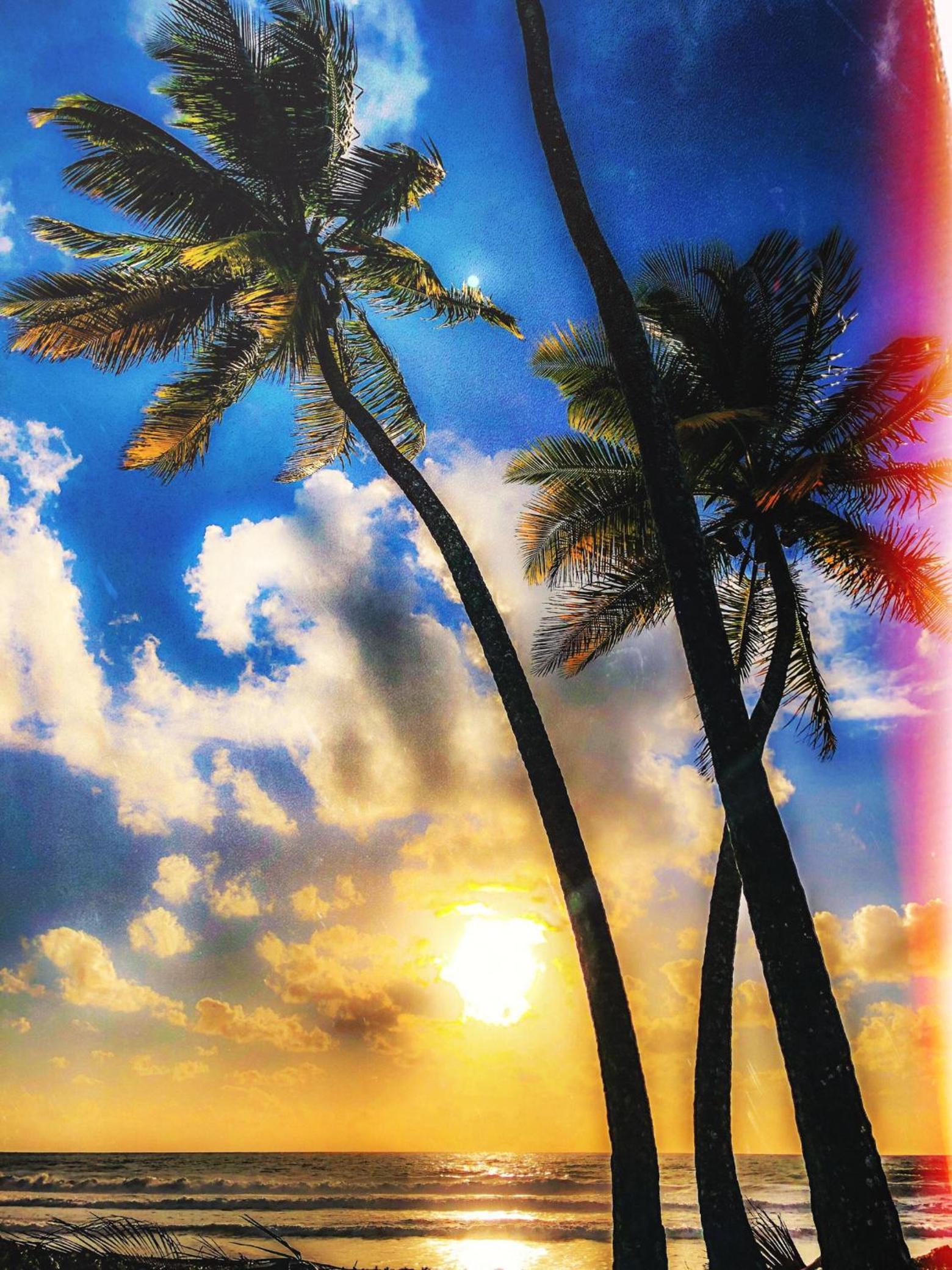 KIALOA Flats Barra Grande