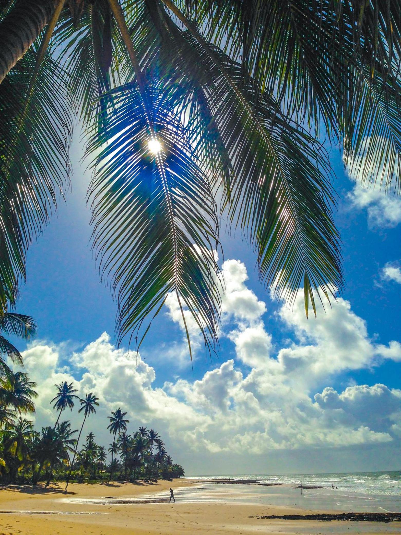 KIALOA Flats Barra Grande