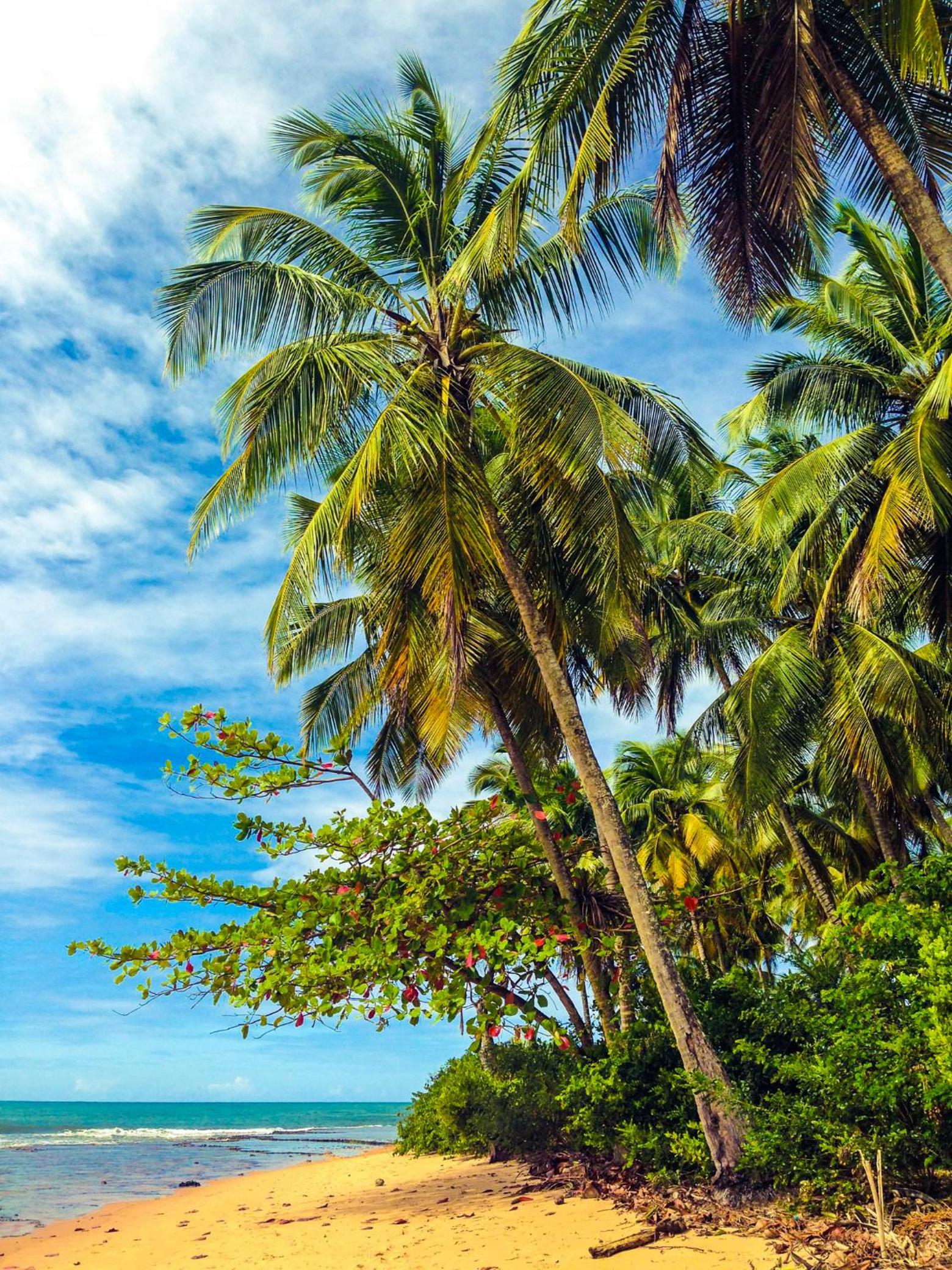 KIALOA Flats Barra Grande