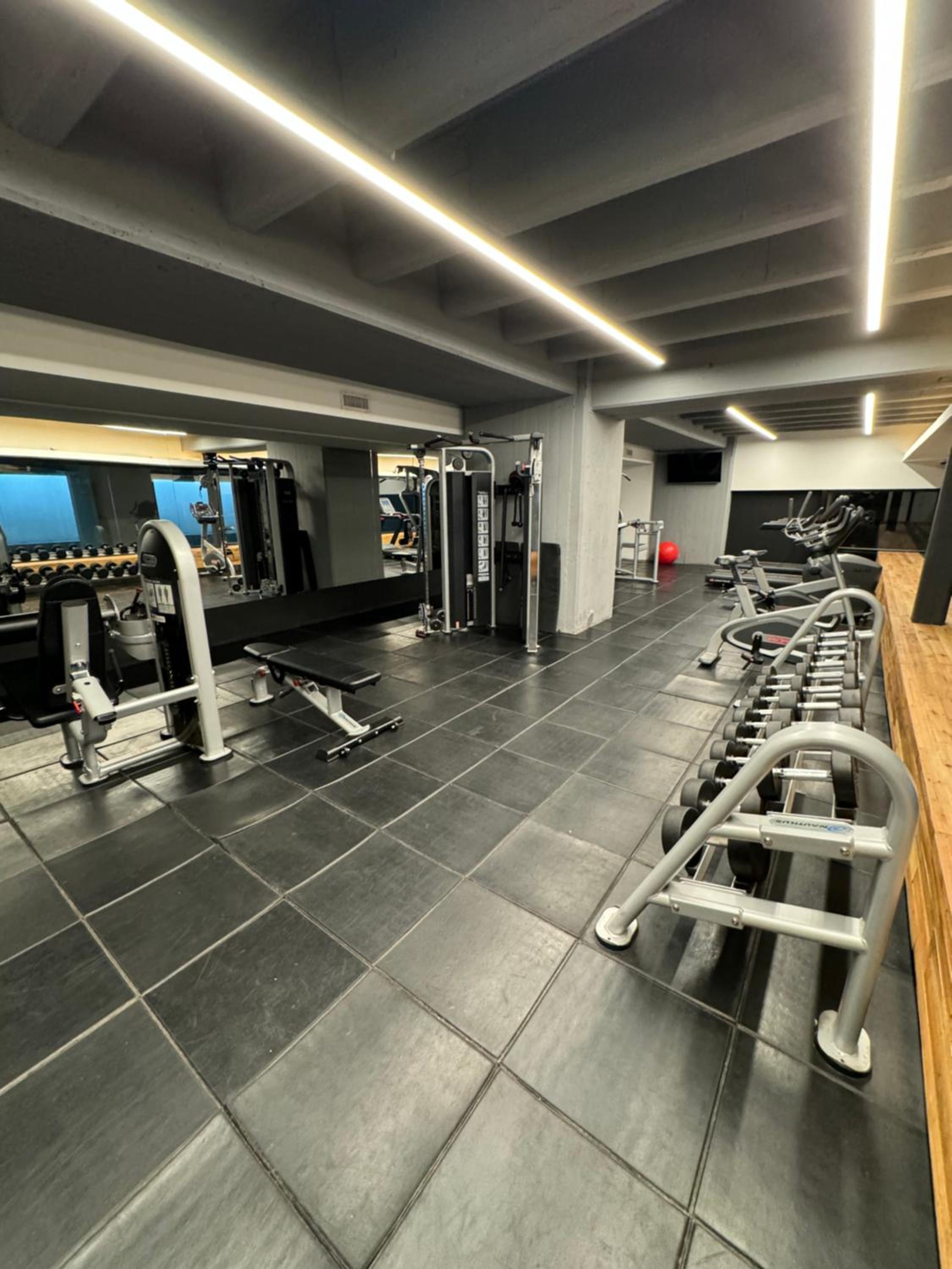 Experiencia premium-Royal Park