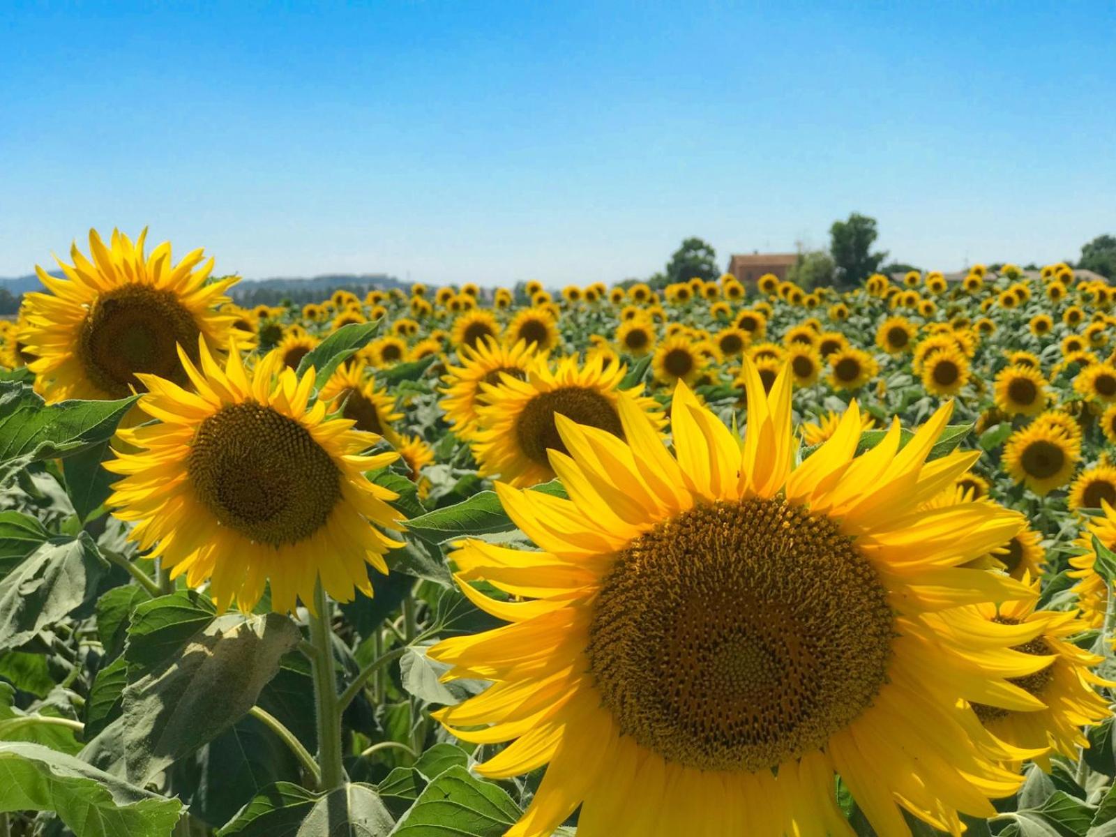 Agriturismo Tolmezzo