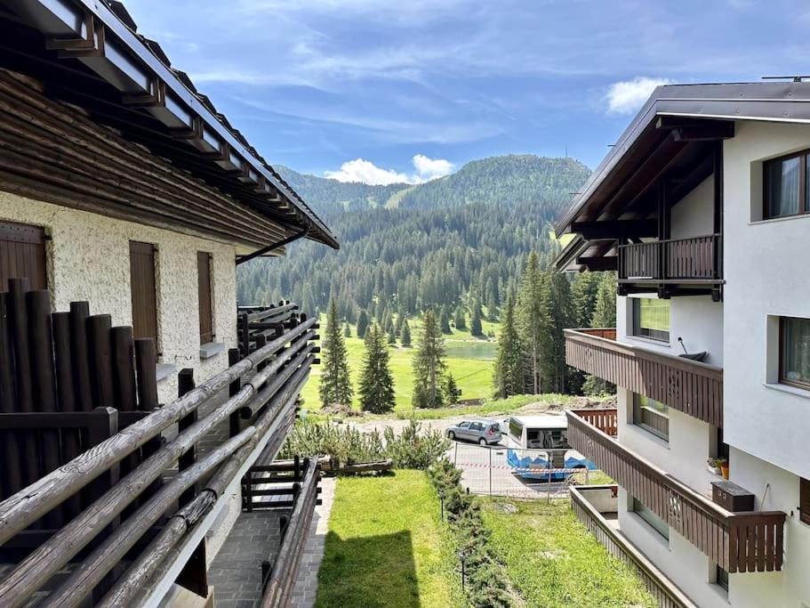Trilocale Nigritella - Serafini view 4