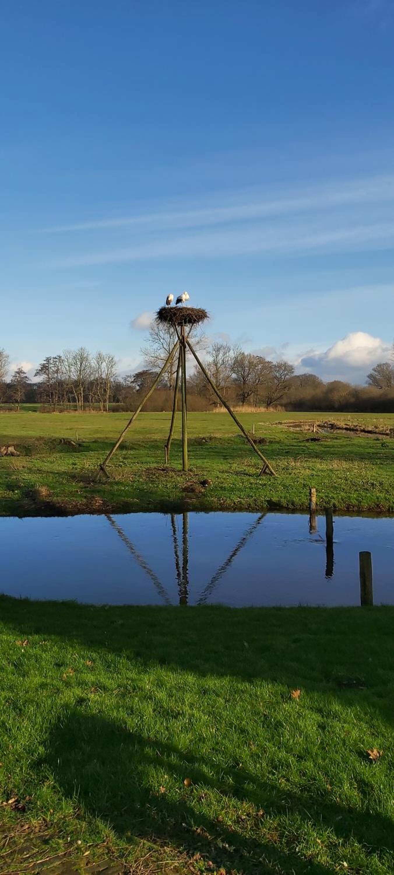 Boerderijtje