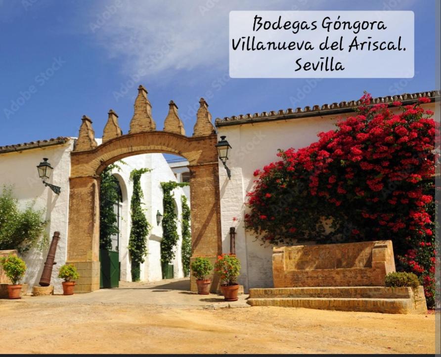 Casa Serena