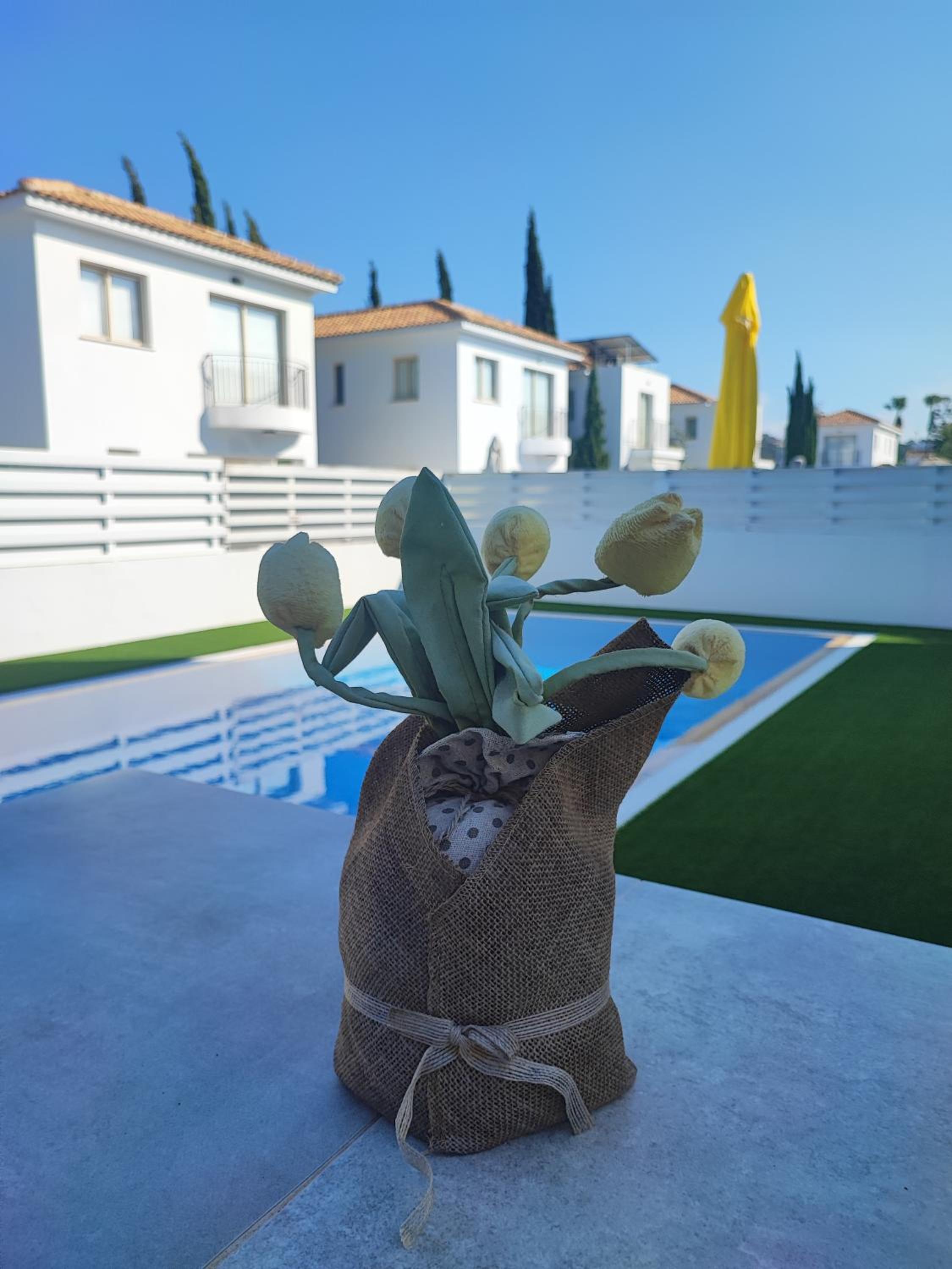 Villa Günther Palm Village