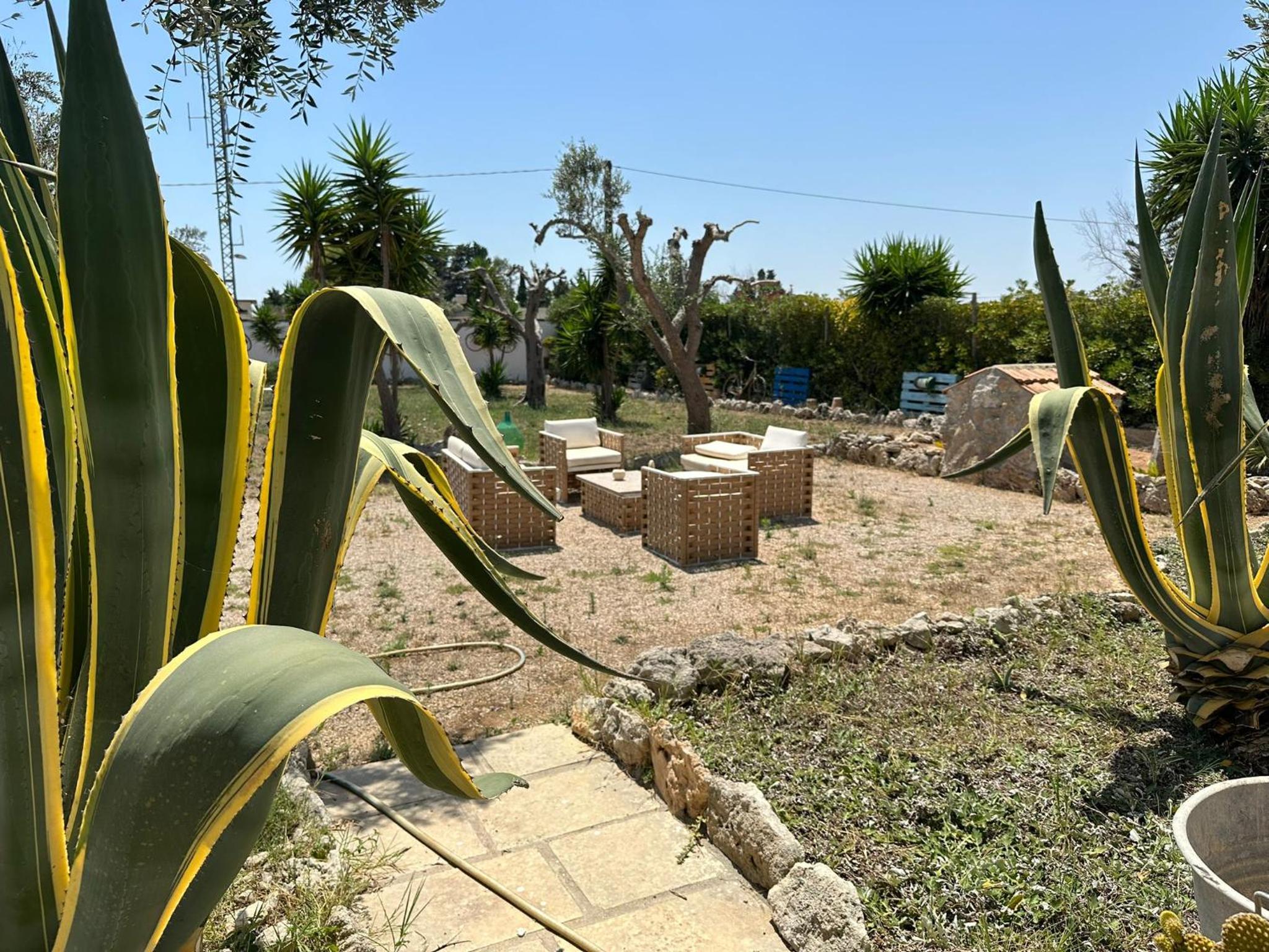 Photo 22