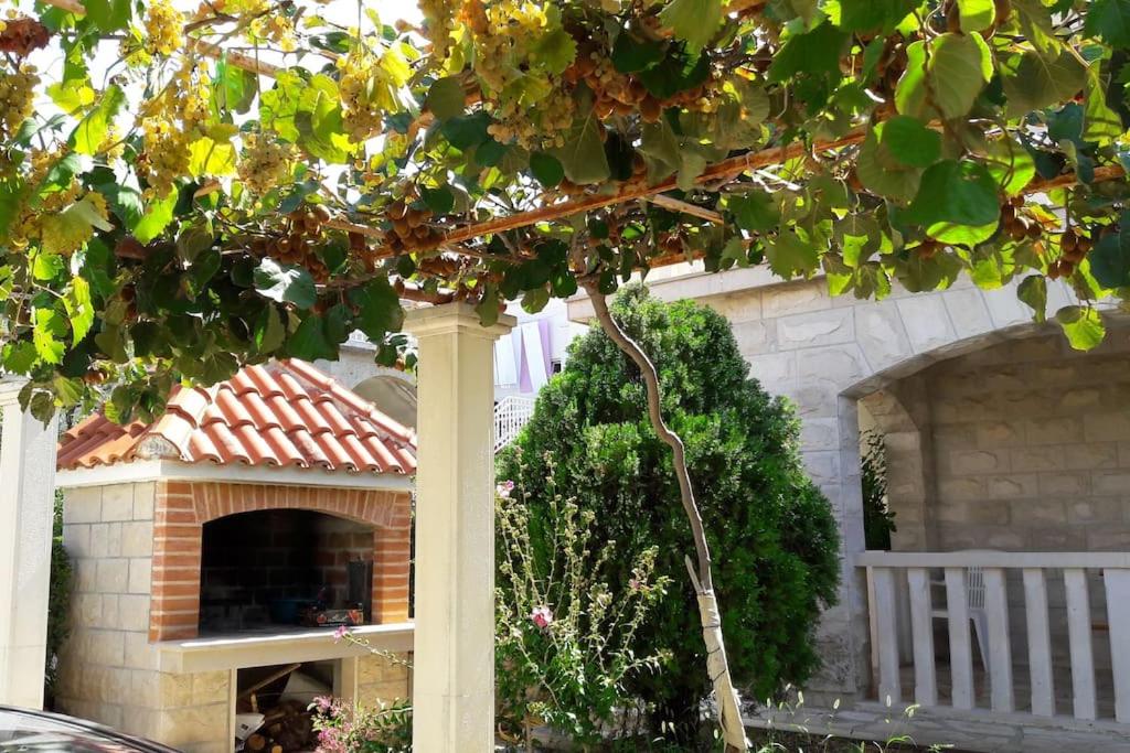 Apartman Veronika A - The beauty of hibiscuses view 2