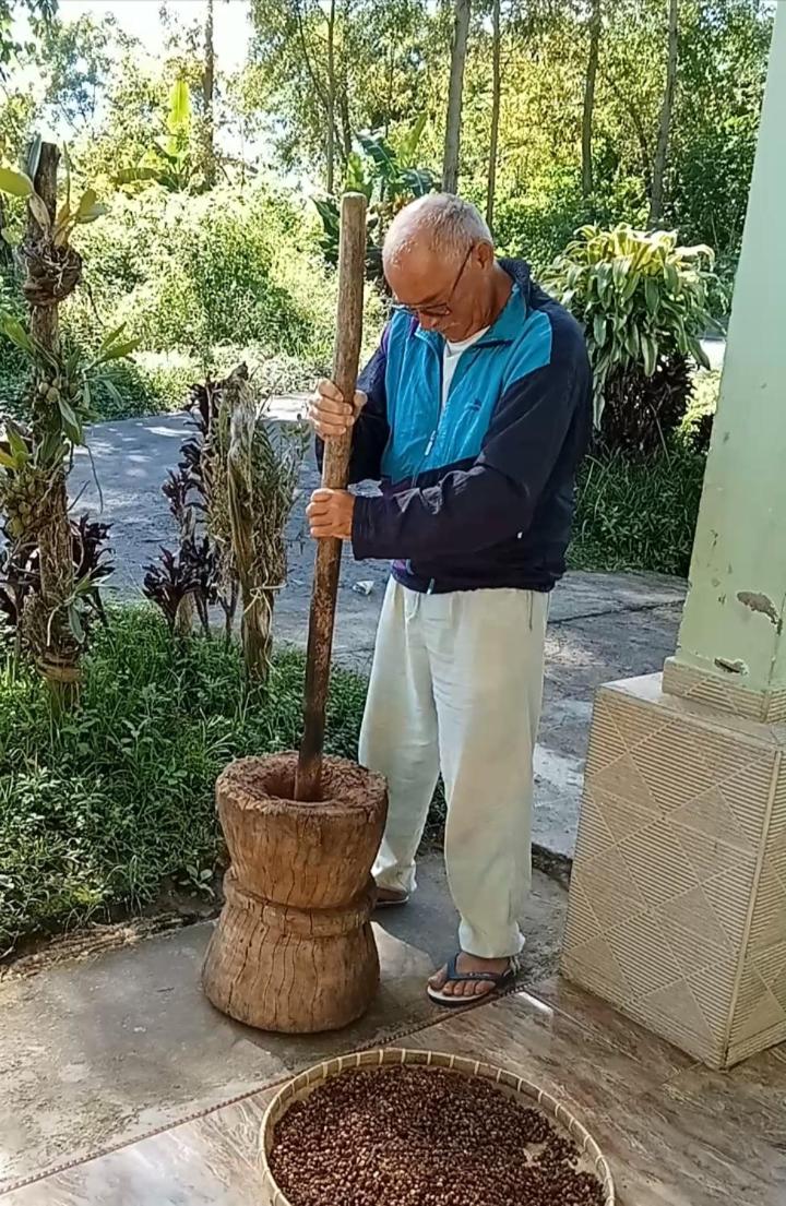 human