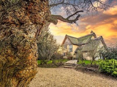 mulberry house
