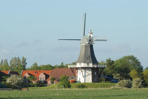 Mühlenblick 02