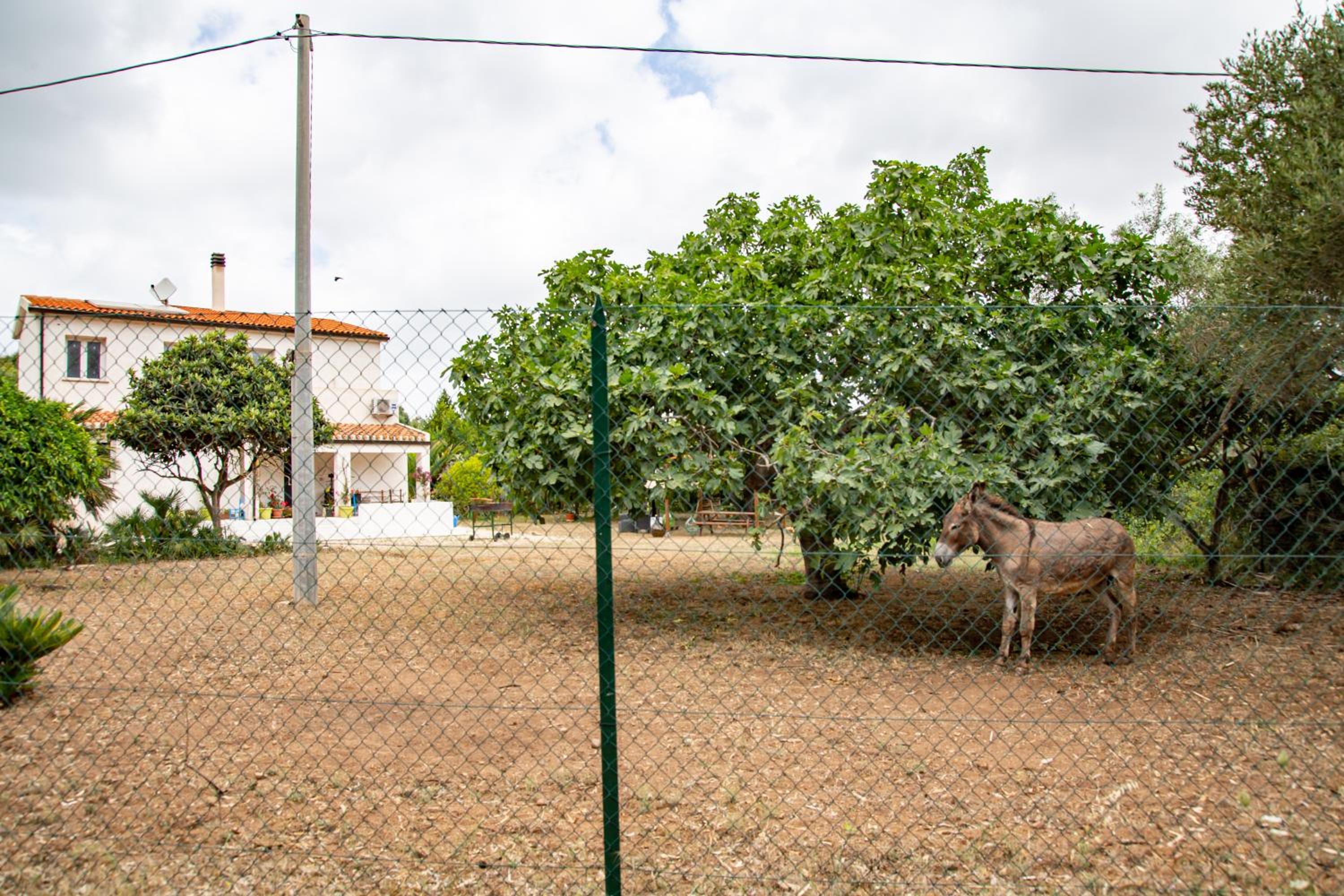 Villa del Lupo view 5