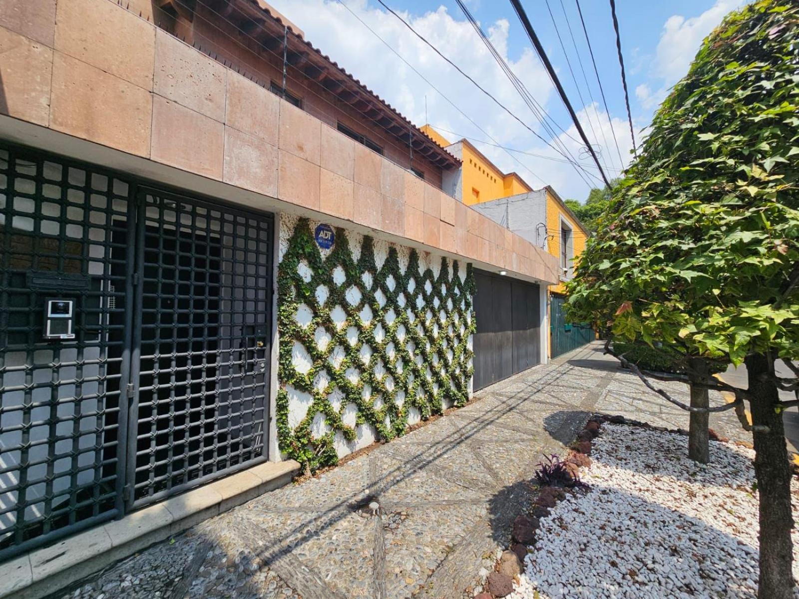 Vive Coyoacan CDMX photo 5