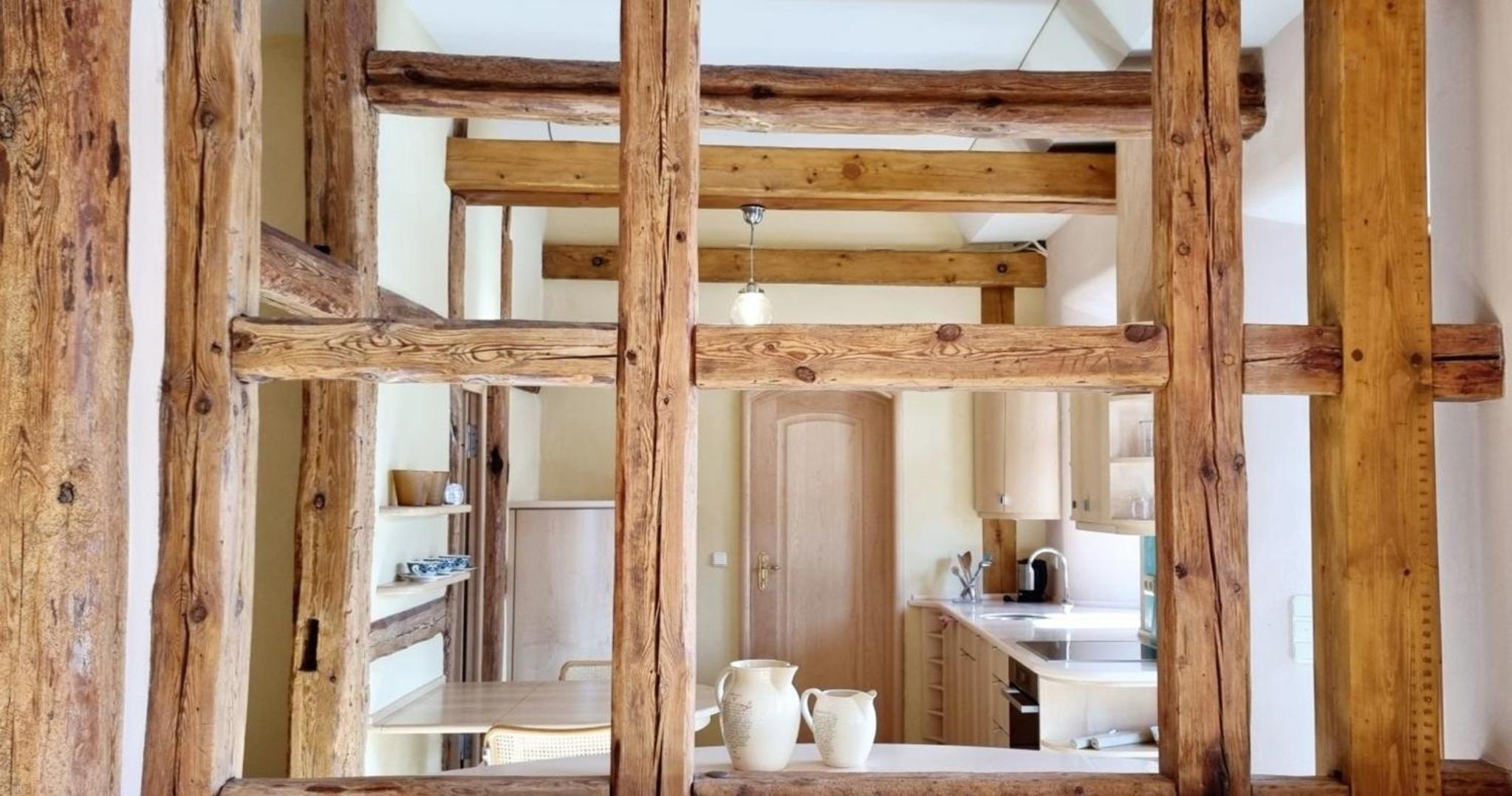 natürliches Umfeld für Genießer Wohnung Teichblick