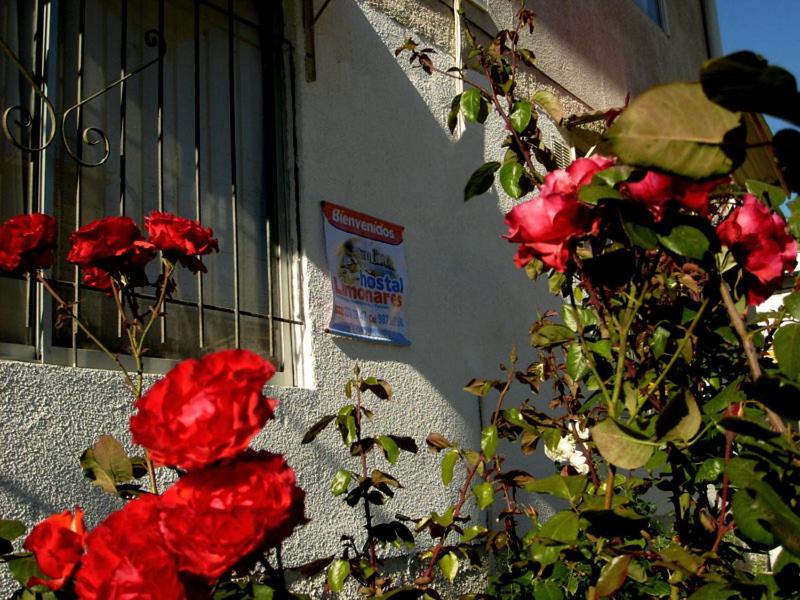 Hostal Limonares view 5