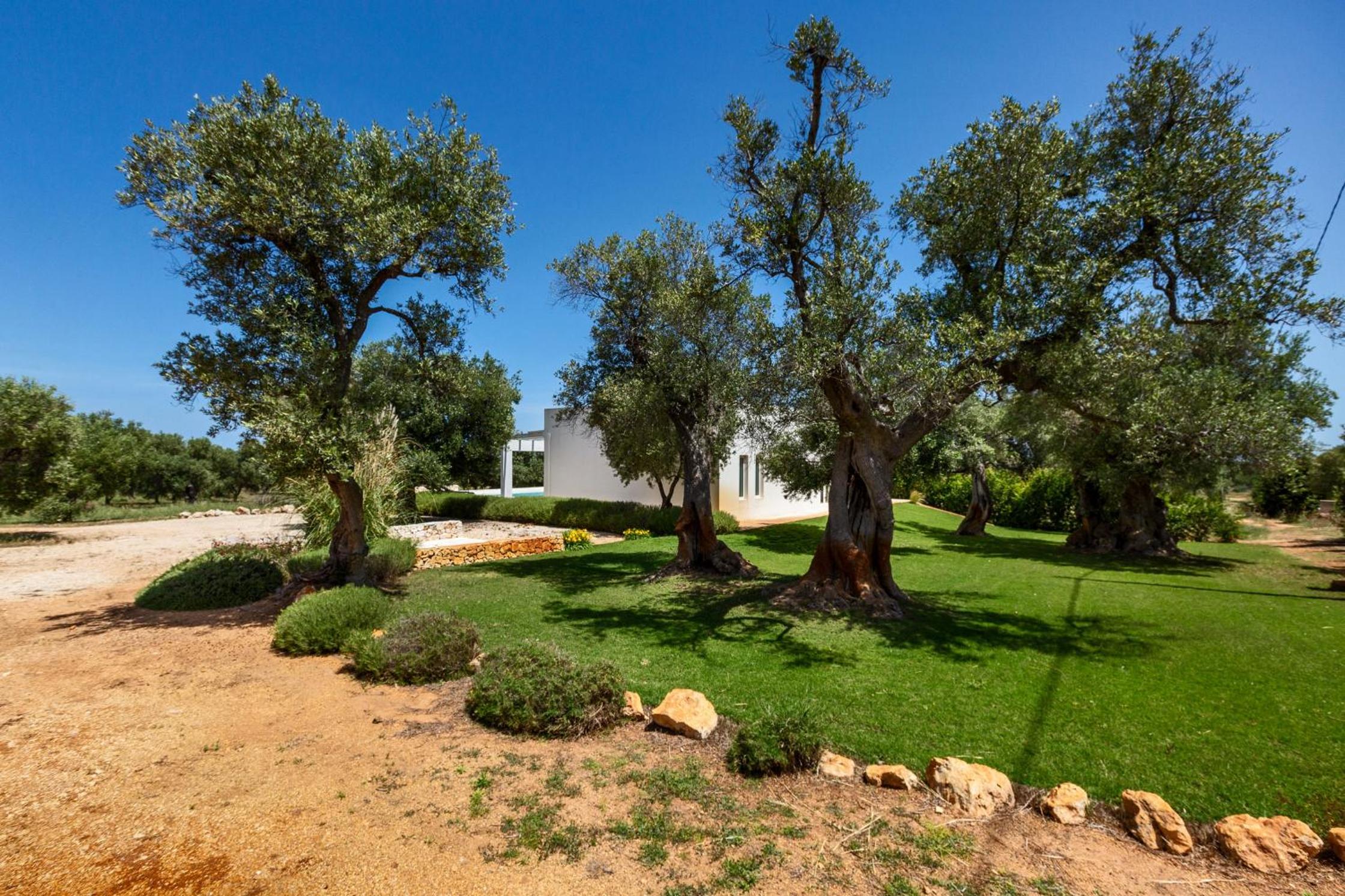 Villa Zena by BarbarHouse