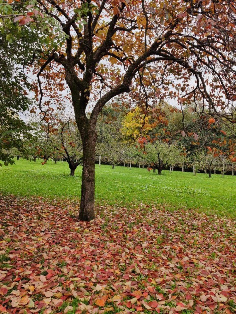 Agriturismo Cantarana