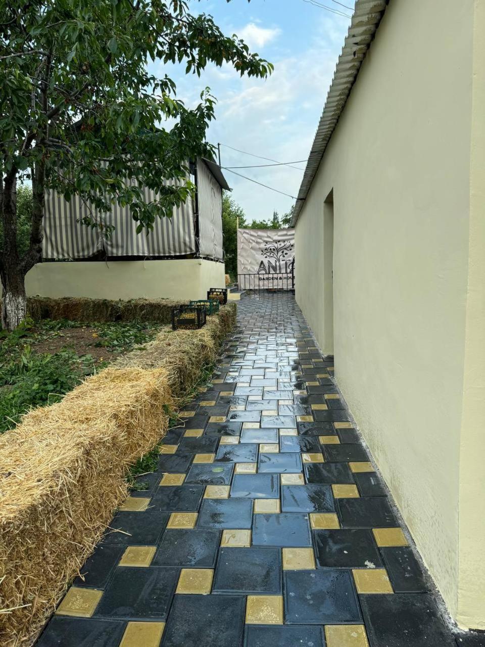 Anita Garden and House