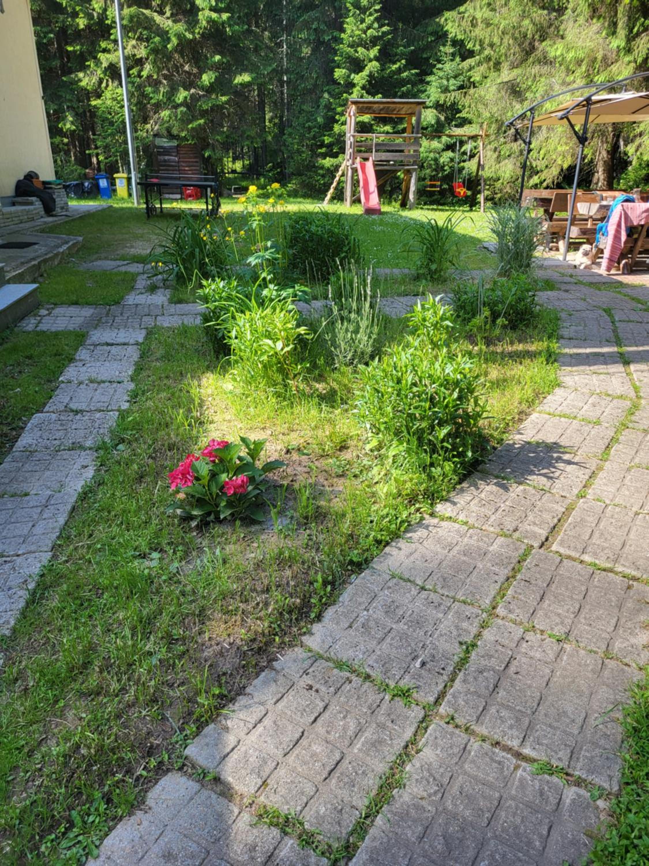 Photo 55