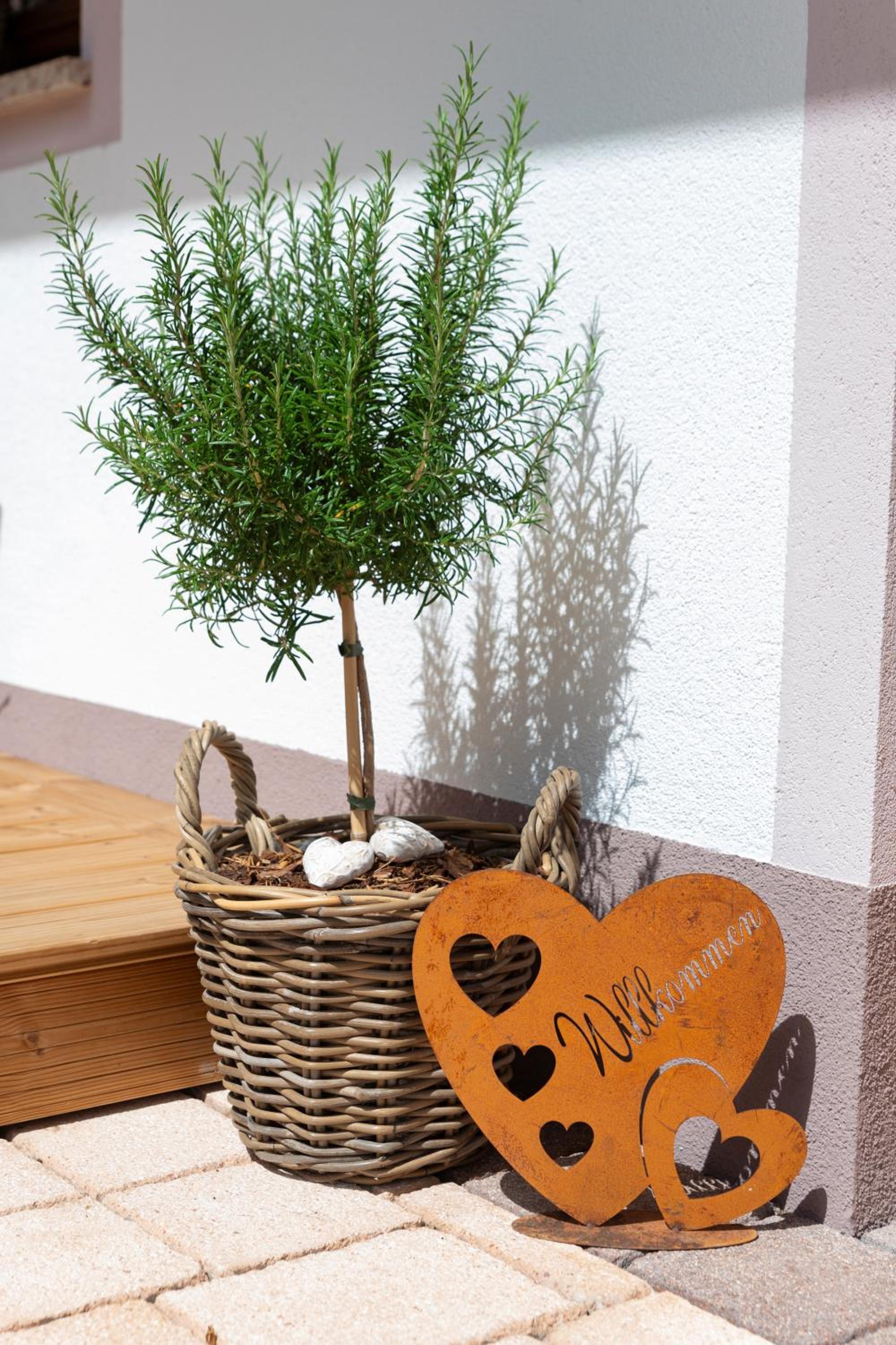 Appartement Auszeit
